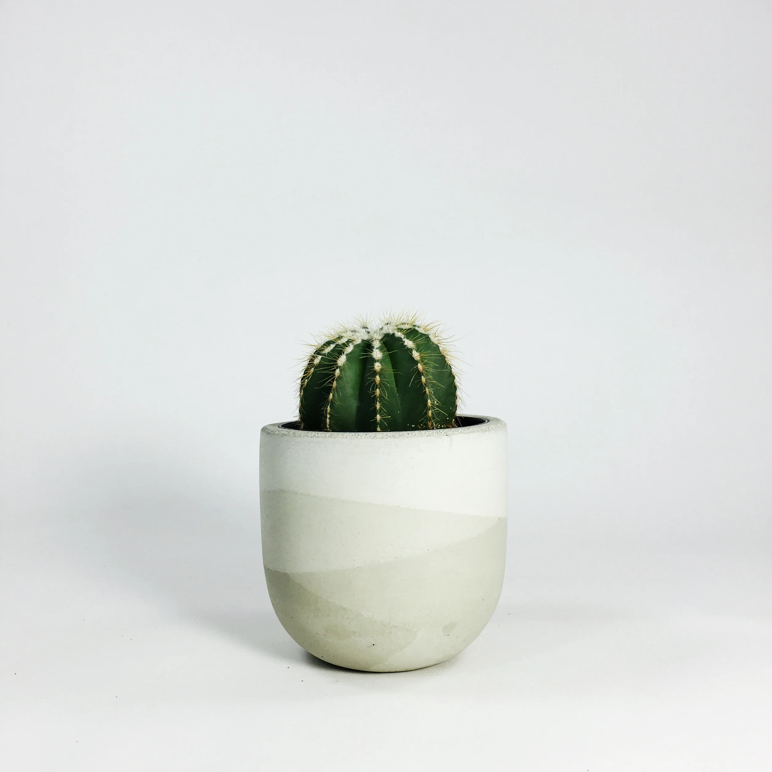 4" Concrete Bowl Planter / Sage Multi Tone