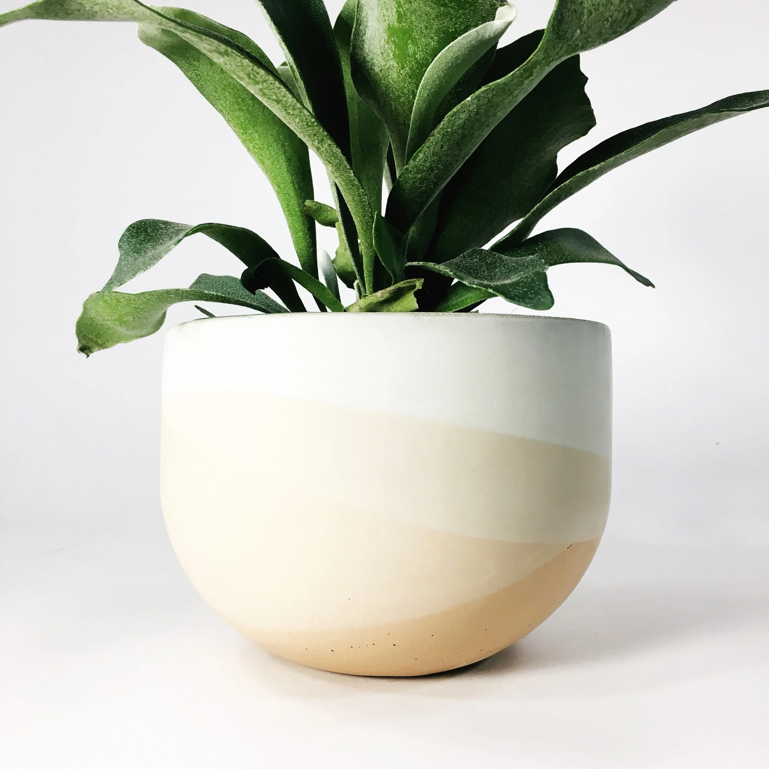 9" Concrete Bowl Planter / Blush Multi Tone