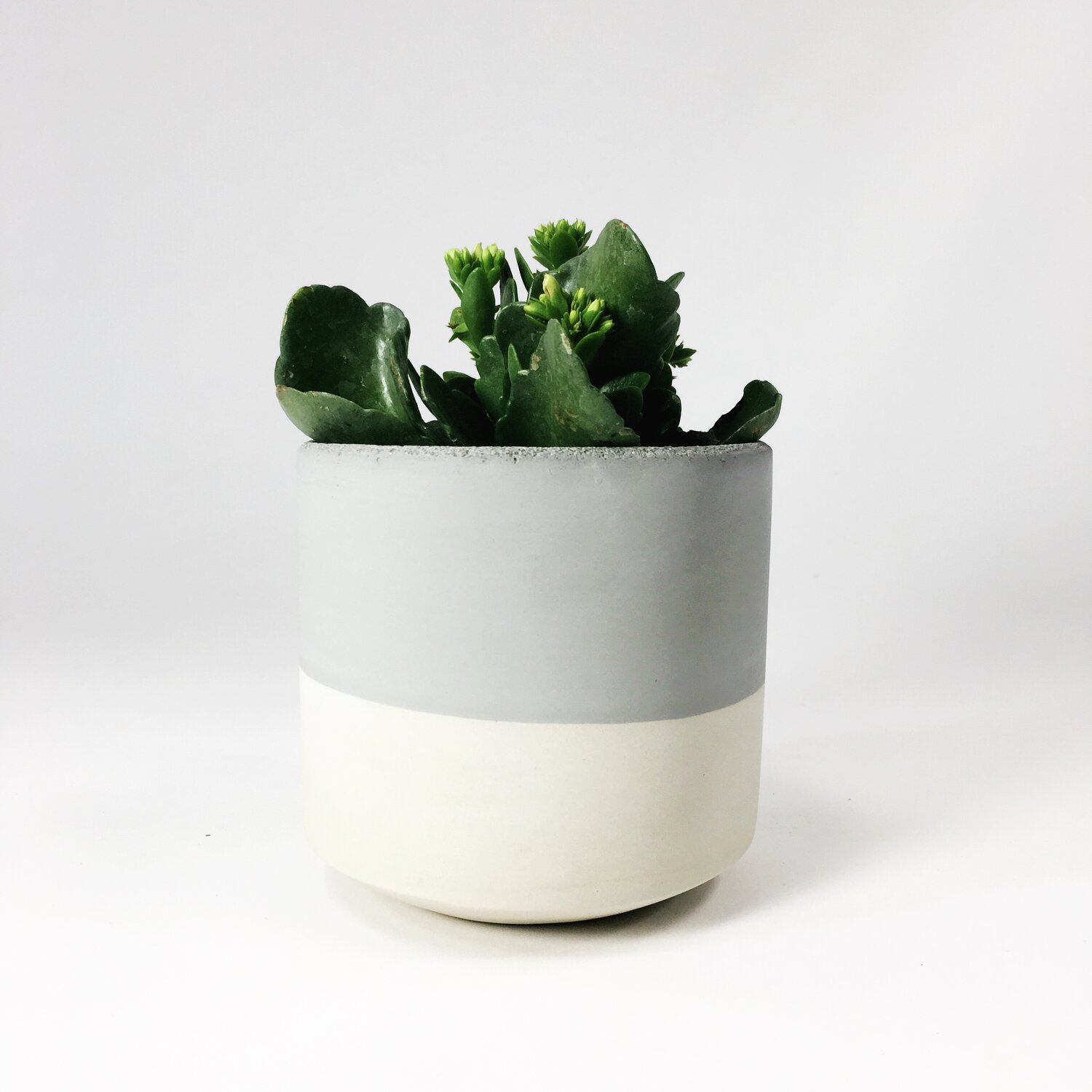 4 Straight Sided Concrete Pot / Light Gray Two Tone — SETTLEWELL