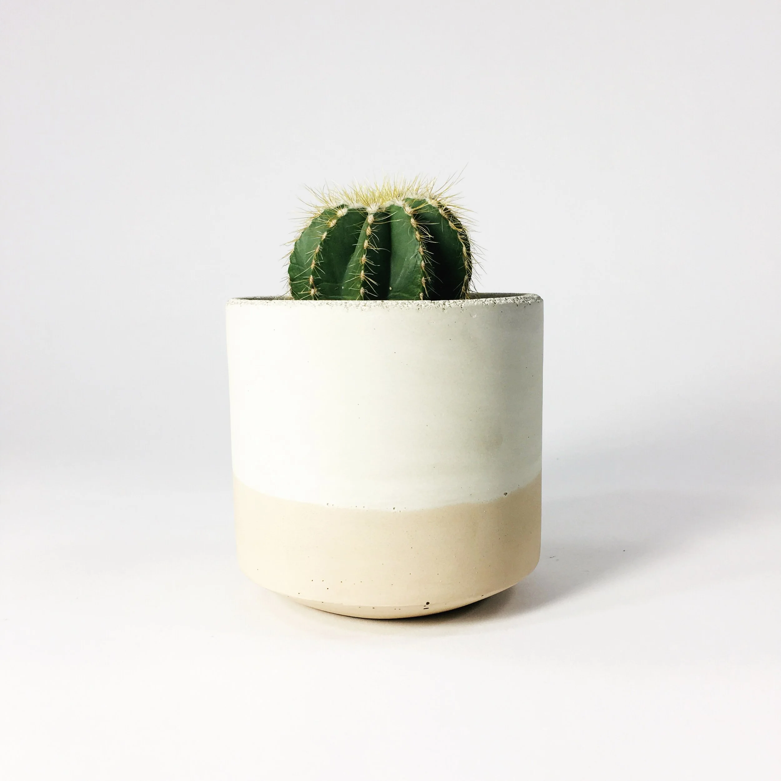 4" Straight Sided Concrete Pot / Blush Flip