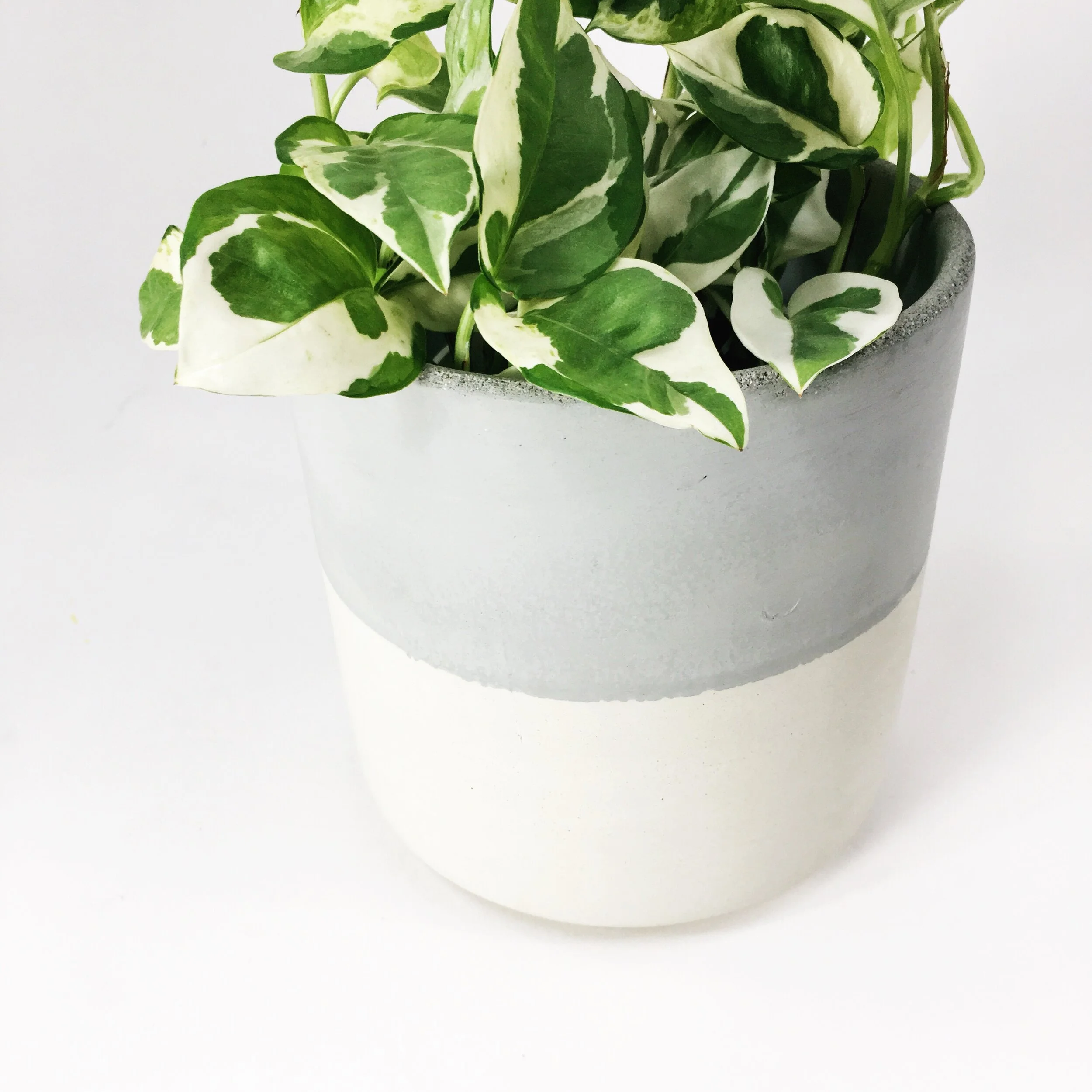 6 ST LIGHT GRAY TWO TONE 5 copy.JPG