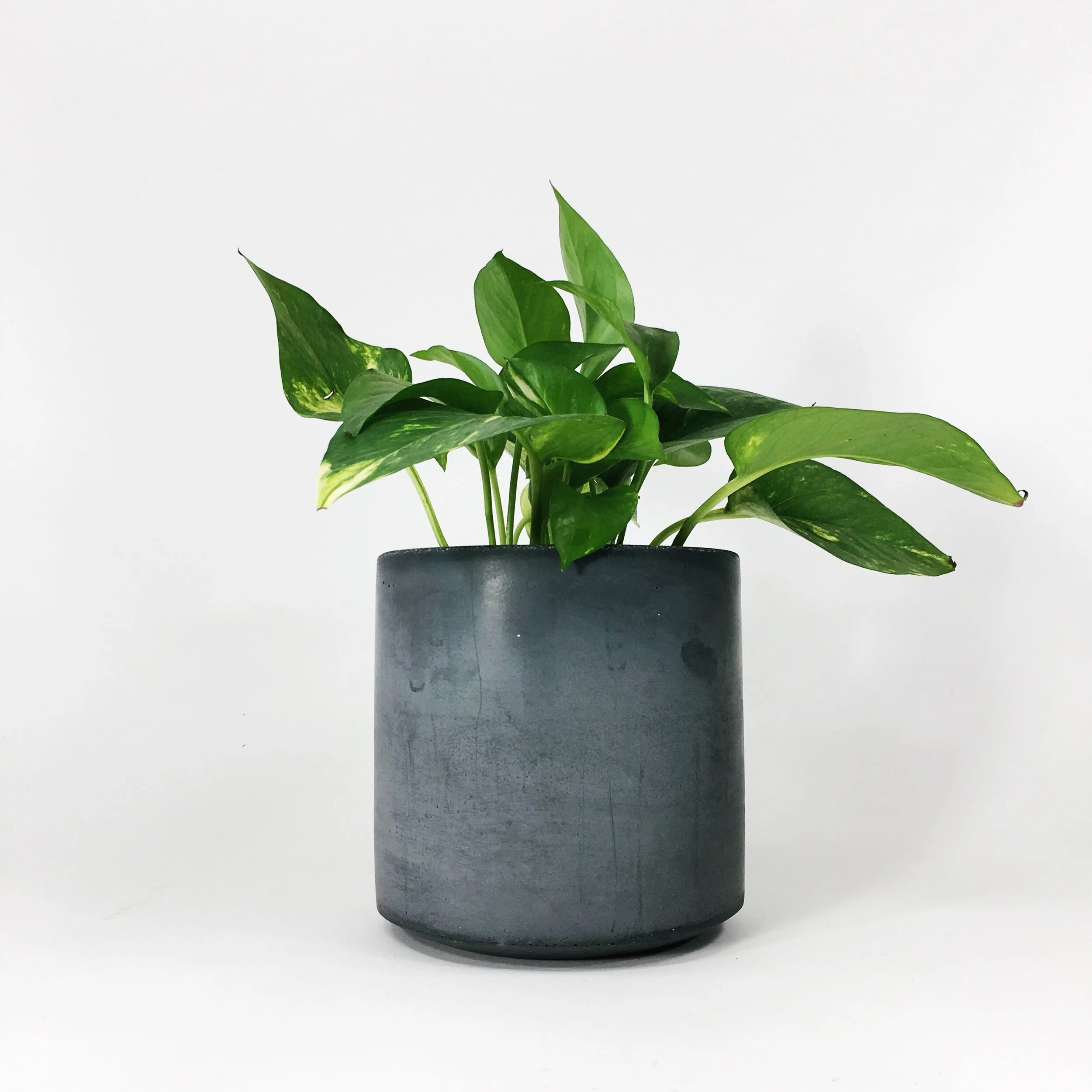 6" Straight Sided Concrete Pot / Dark Gray