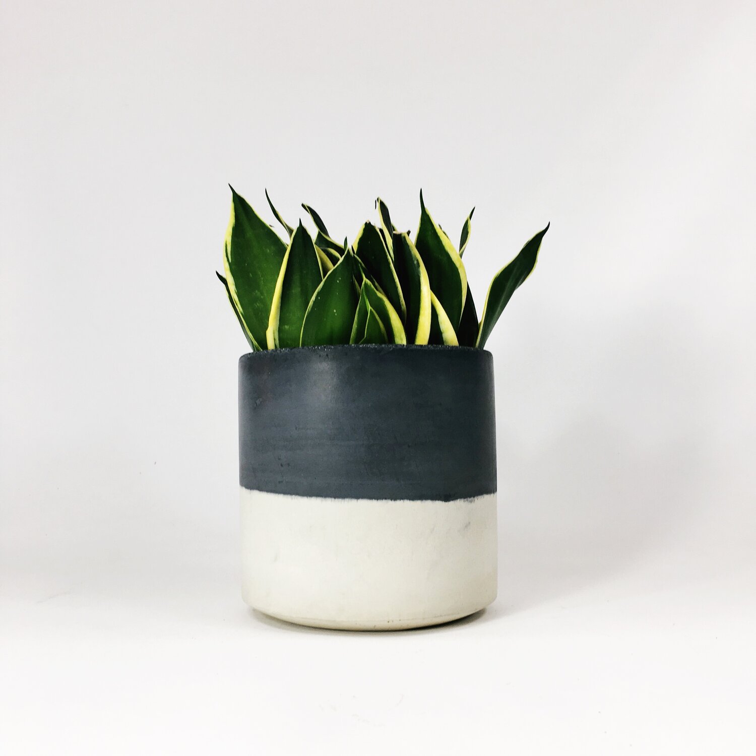6 Straight Sided Concrete Pot / Two Tone — SETTLEWELL