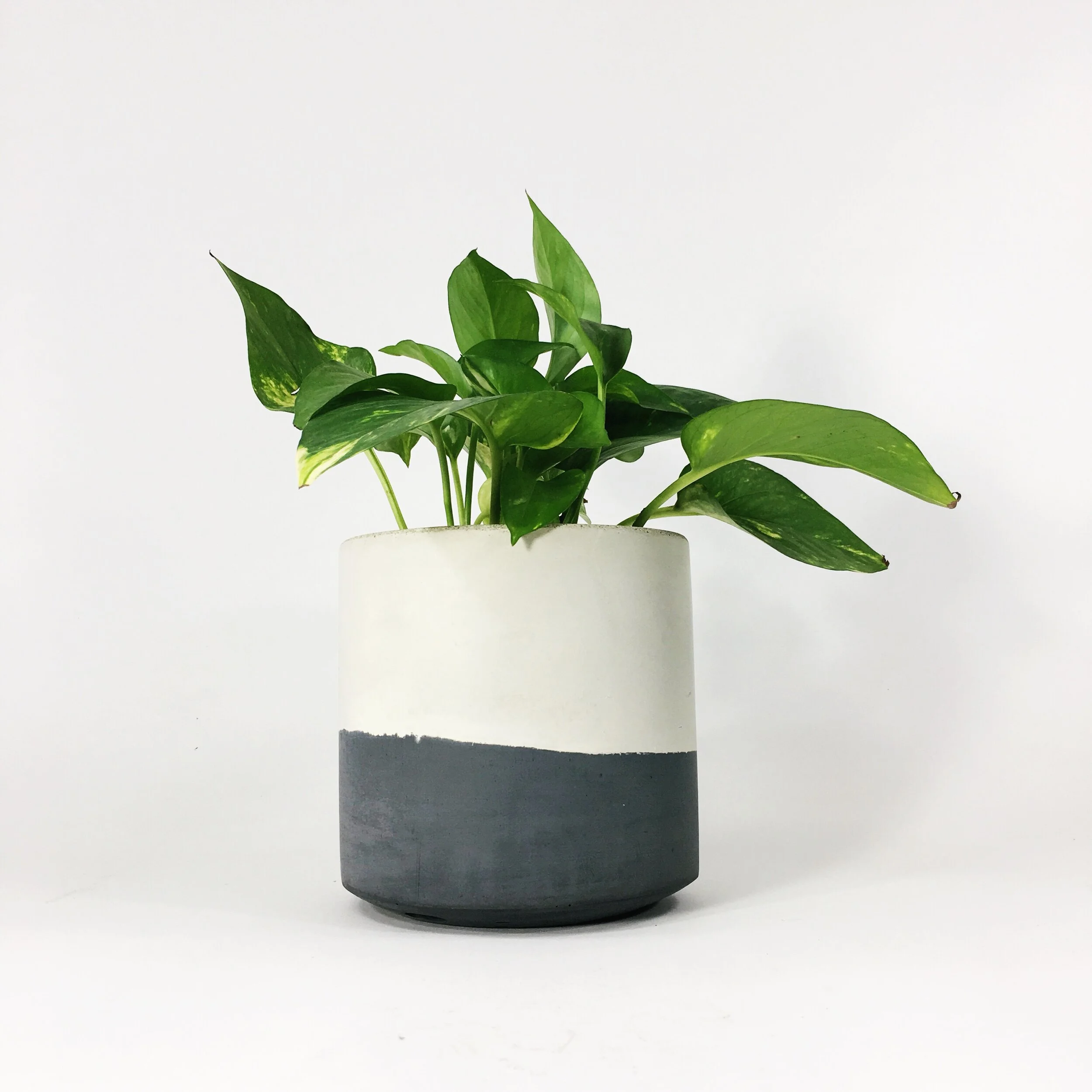 6 ST DARK GRAY FLIP 5 copy.JPG