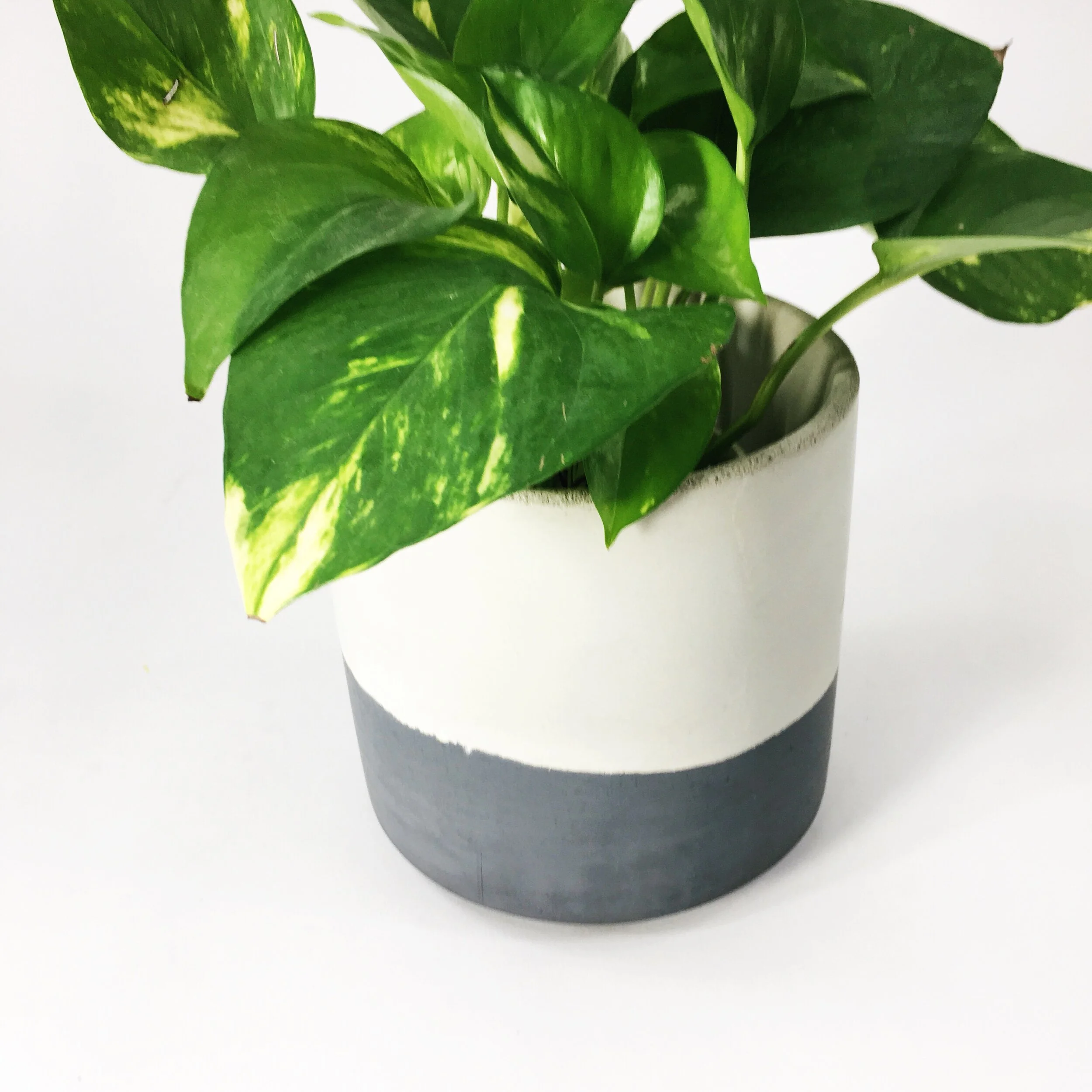 6 ST DARK GRAY FLIP 4 copy.JPG