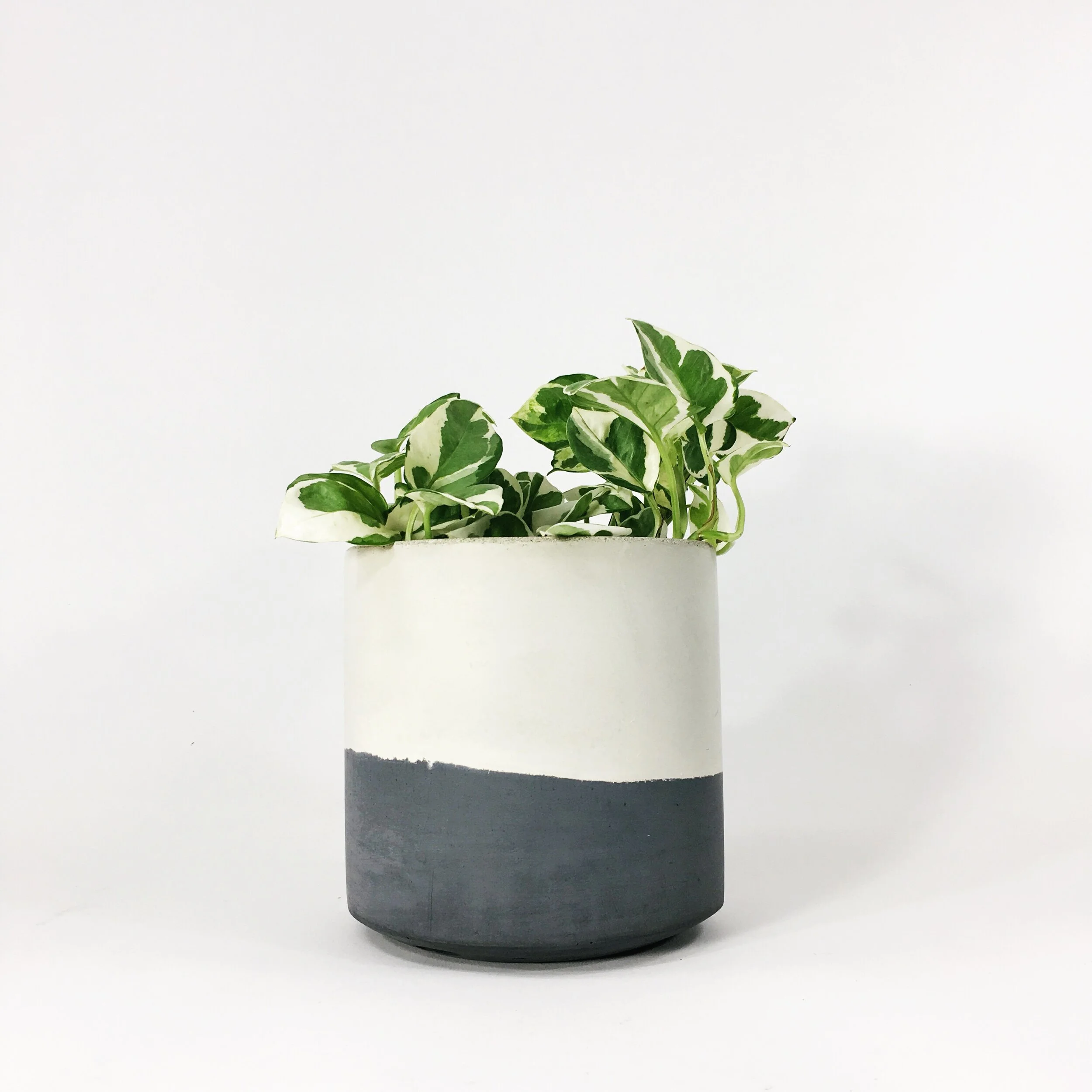 6 ST DARK GRAY FLIP 8 copy.JPG