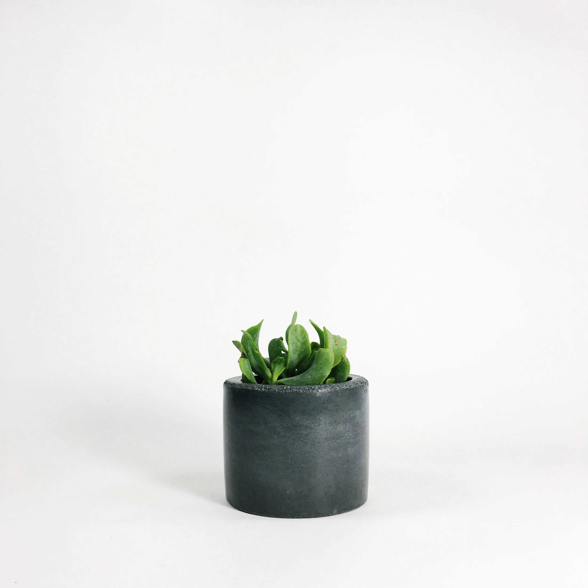 Concrete Vases / Dark Gray