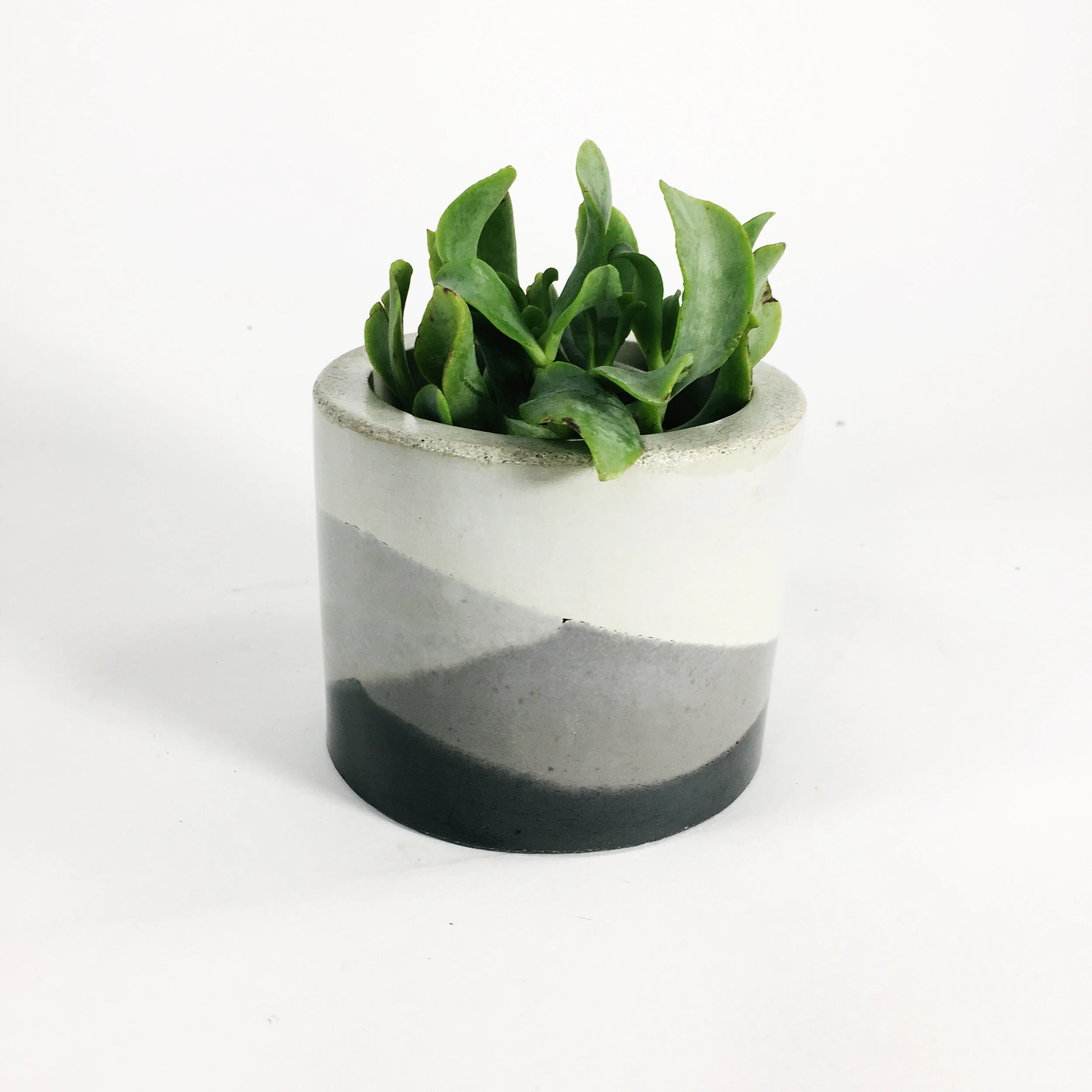 Concrete Vases / Gray Multi Tone — SETTLEWELL Modern Planters and