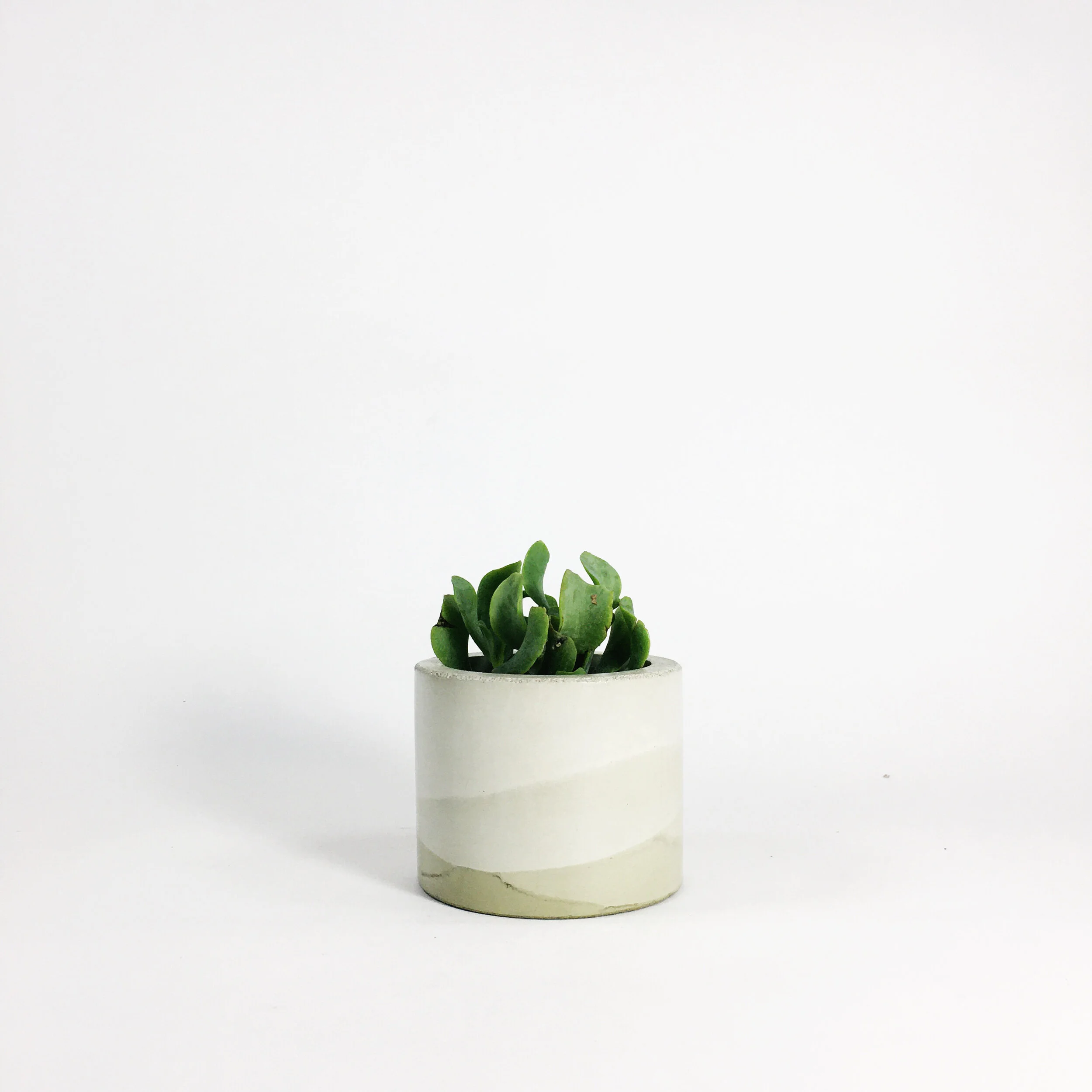 Concrete Vases / Sage Multi