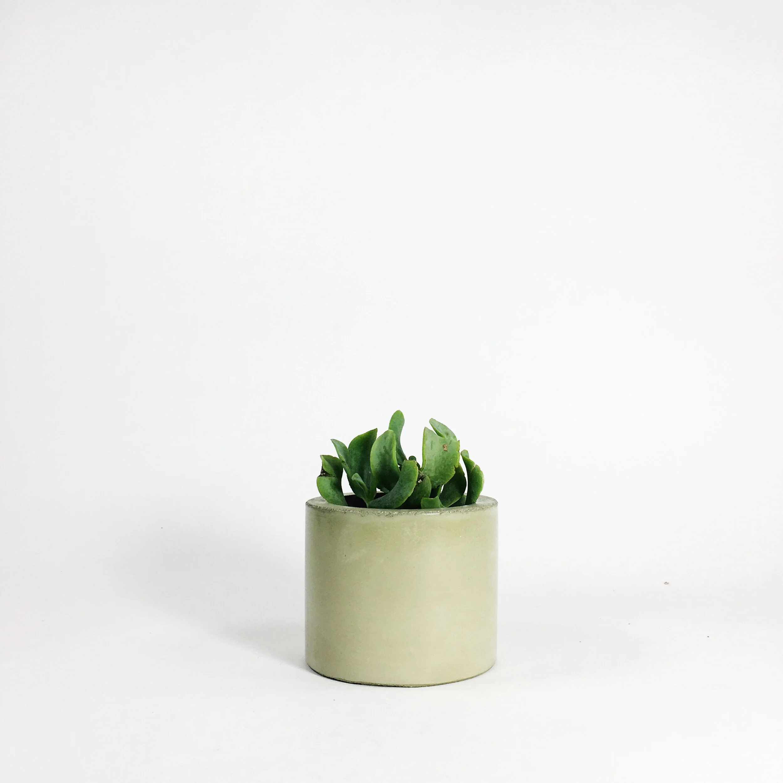 Concrete Vases / Sage