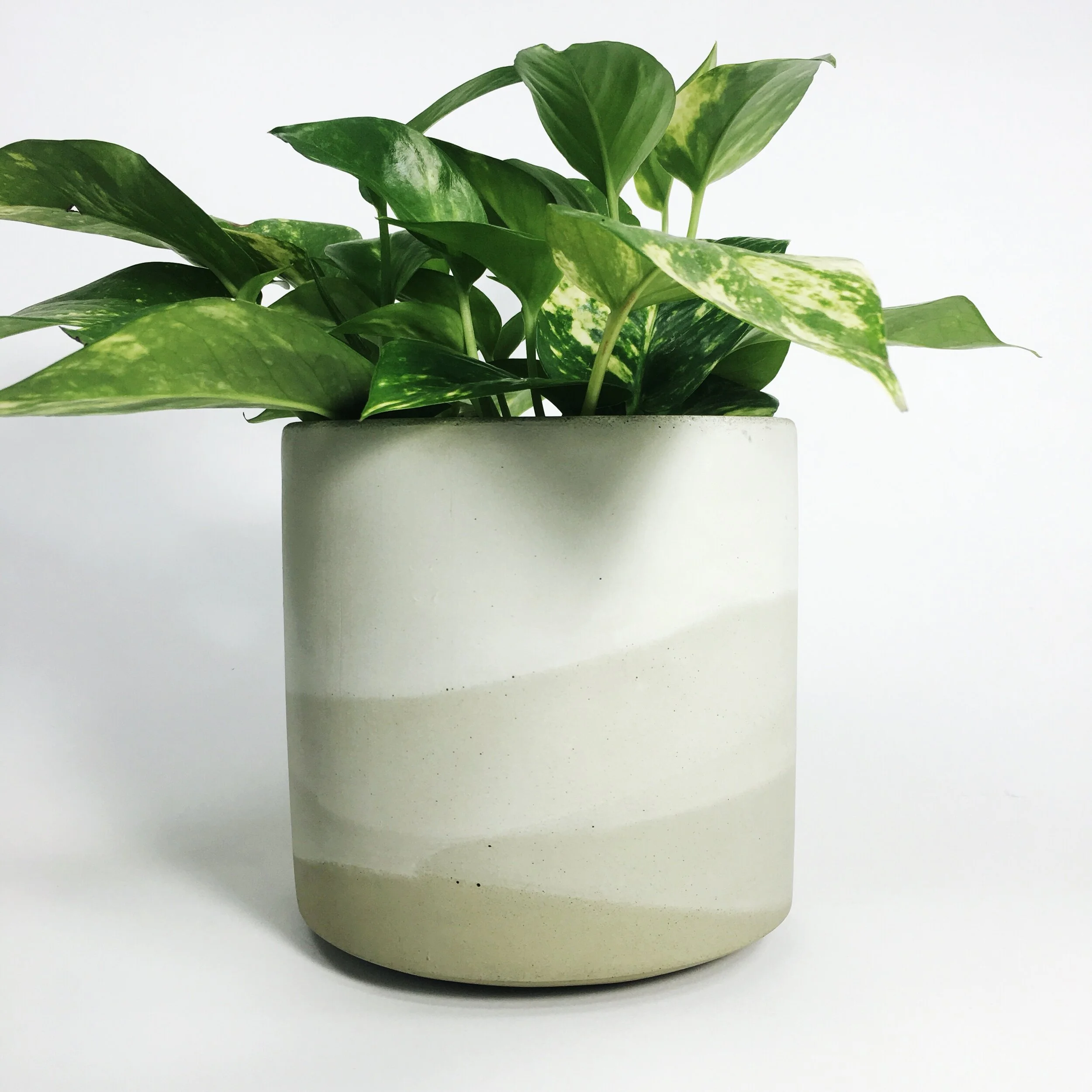 6" Straight Sided Concrete Pot / Sage Multi Tone
