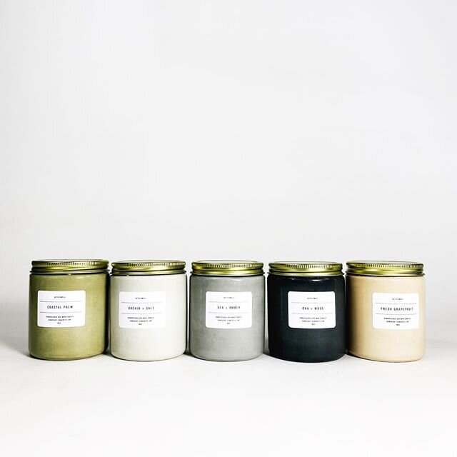 The newest addition to the SETTLEWELL Concrete Candle Collection: COASTAL PALM drops on March 4th at 10am! 
COASTAL PALM has the light and dewy scent of the California Coast in Spring. The lush mossy forests of Big Sur, the sun-drenched beaches of So