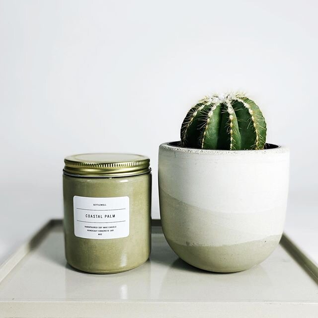 Our newest SETTLEWELL Concrete Candle scent: COASTAL PALM is live on the site today! 🌴

This scent is pure Spring. The lush mossy forests of Big Sur, the sun-drenched beaches of Southern California, a morning hike in the San Gabriels. This scent is 
