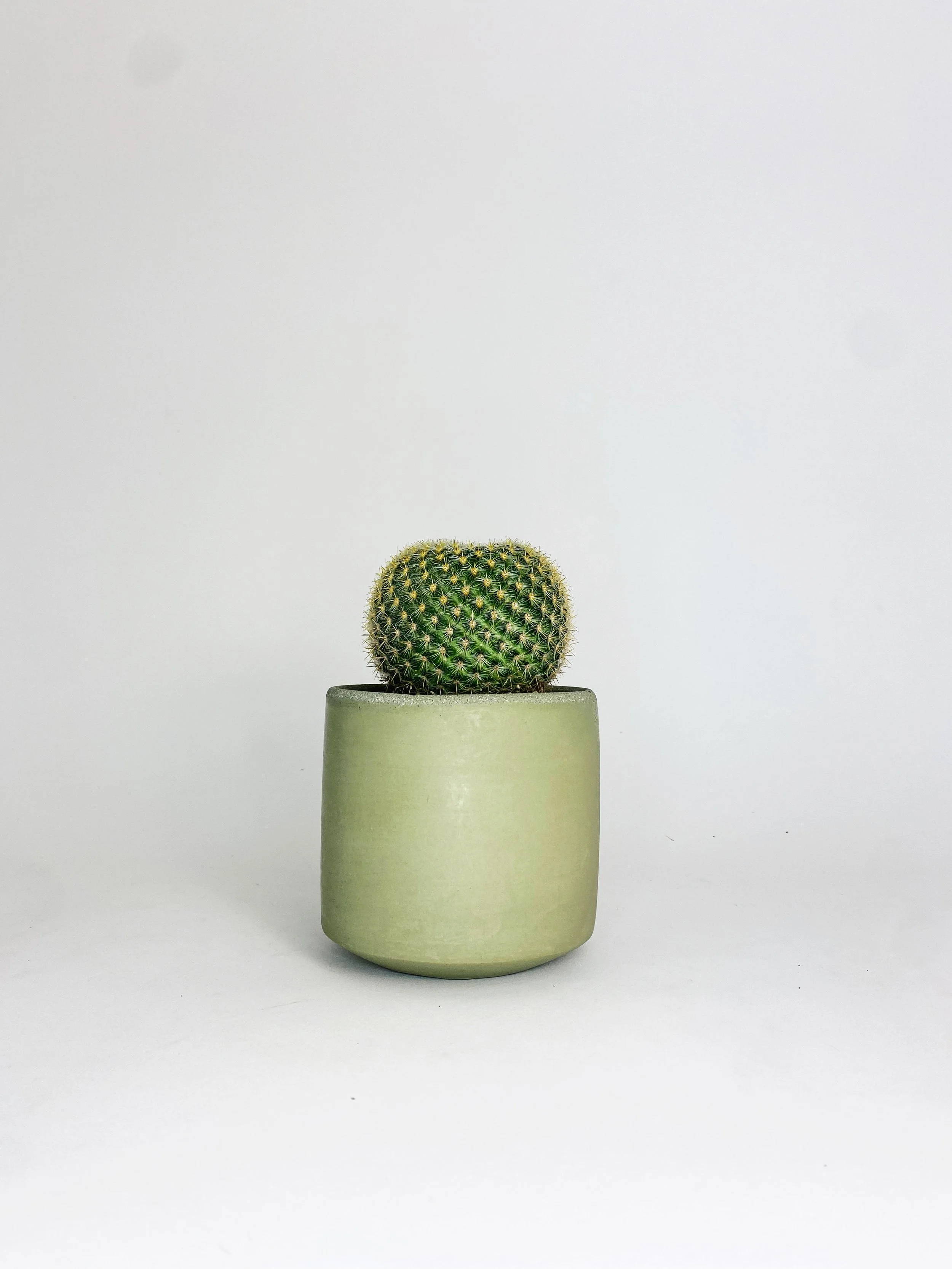 4" Straight Sided Concrete Pot / Sage