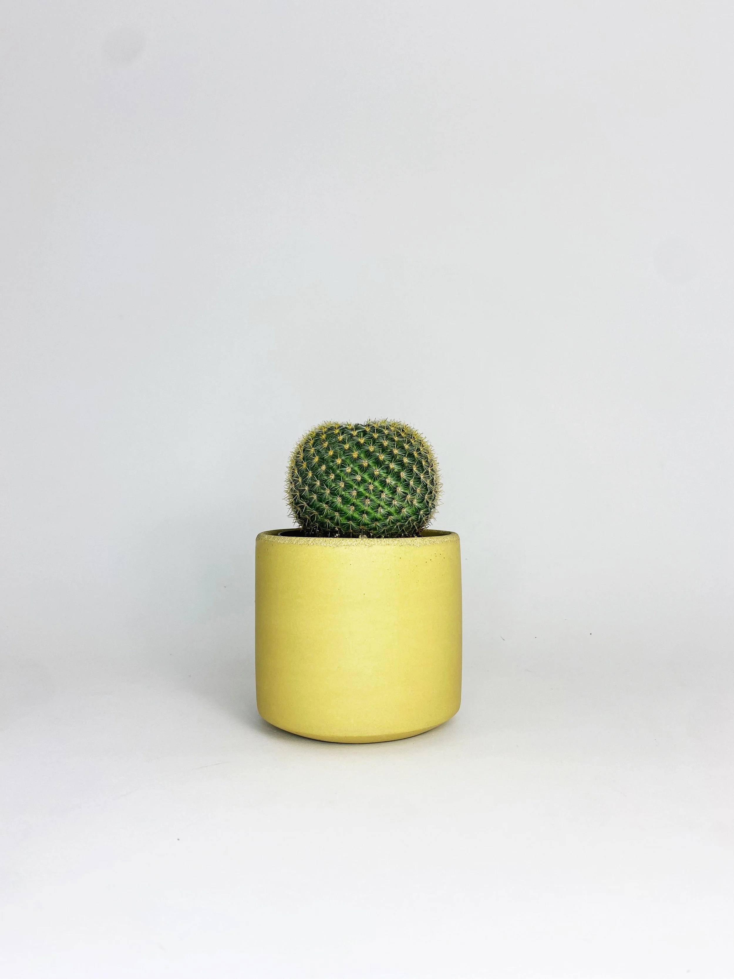 4" Straight Sided Concrete Pot / Yellow