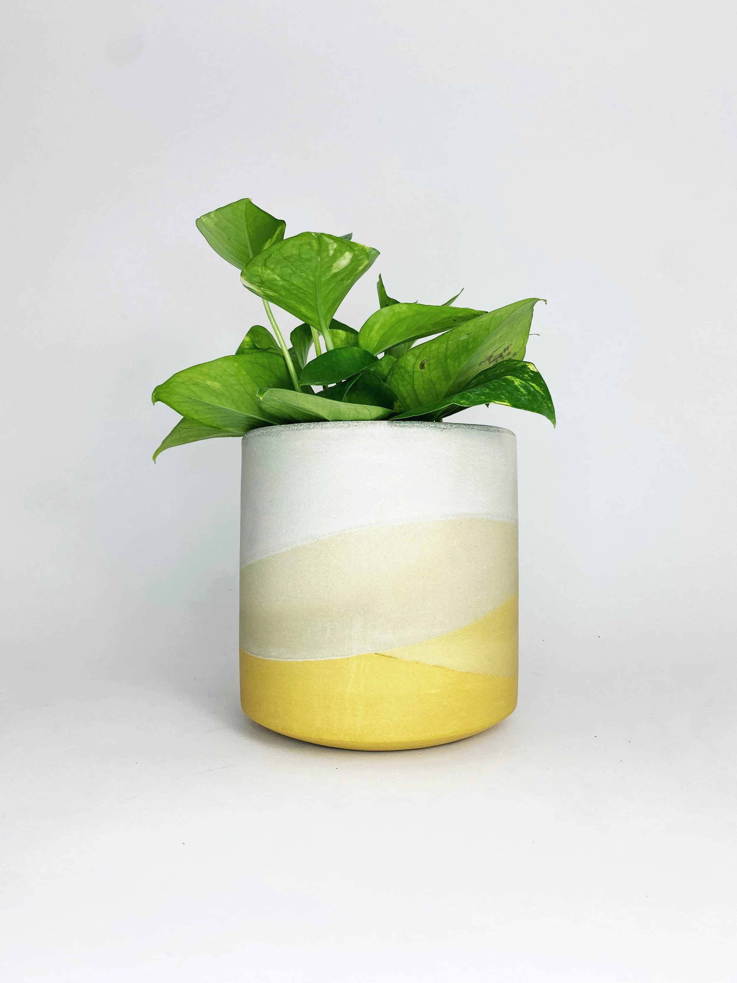 6" Straight Sided Concrete Pot / Yellow Multi Tone