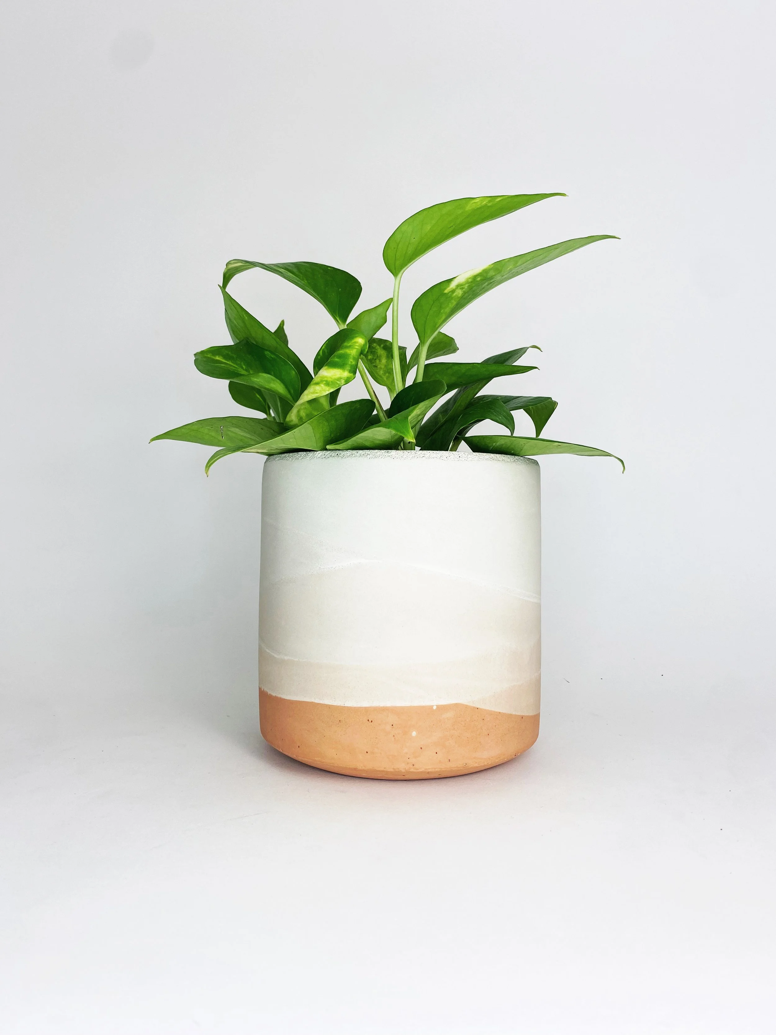 6" Straight Sided Concrete Pot / One Of A Kind #3