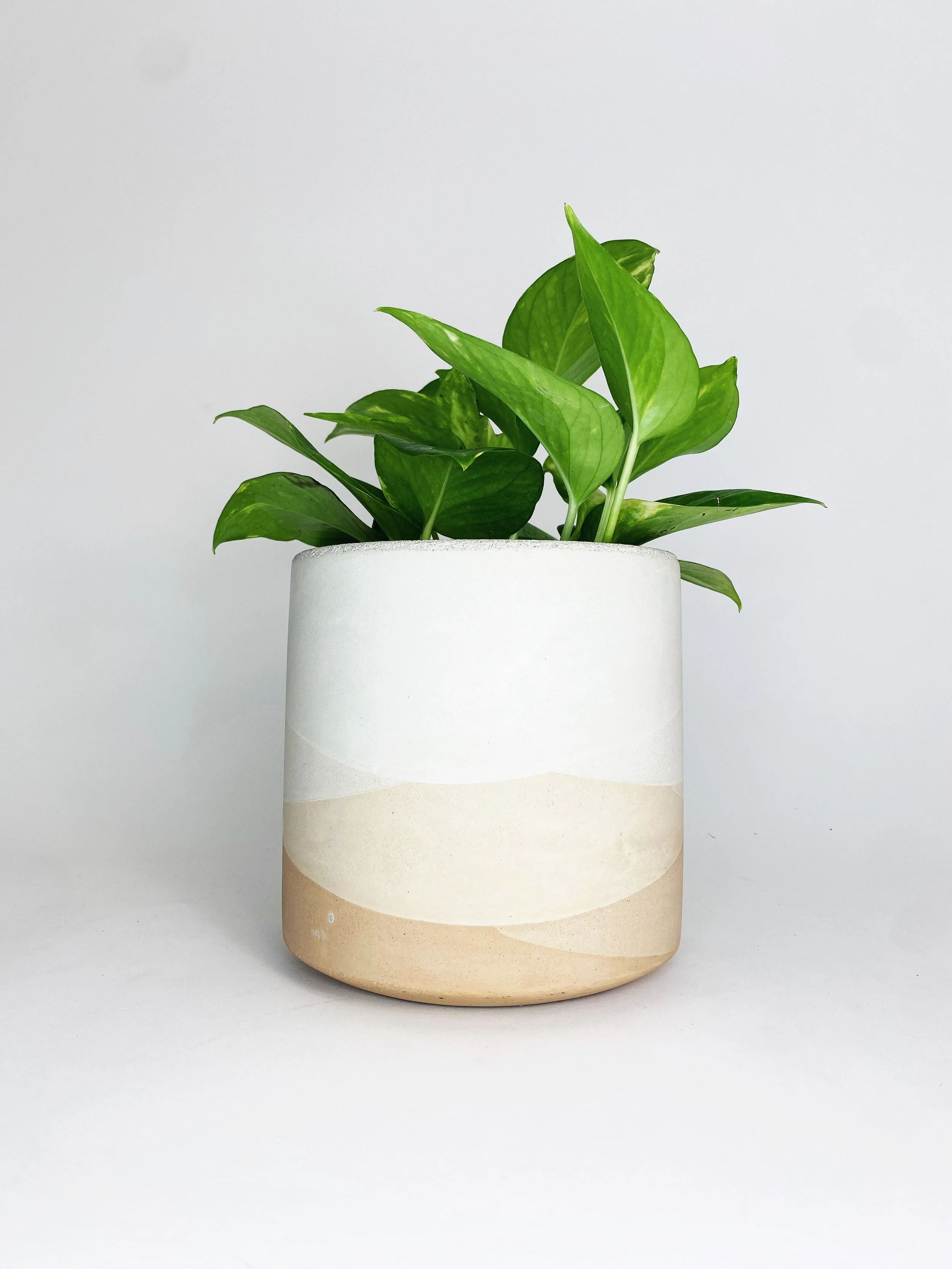 6" Straight Sided Concrete Pot / One Of A Kind #4