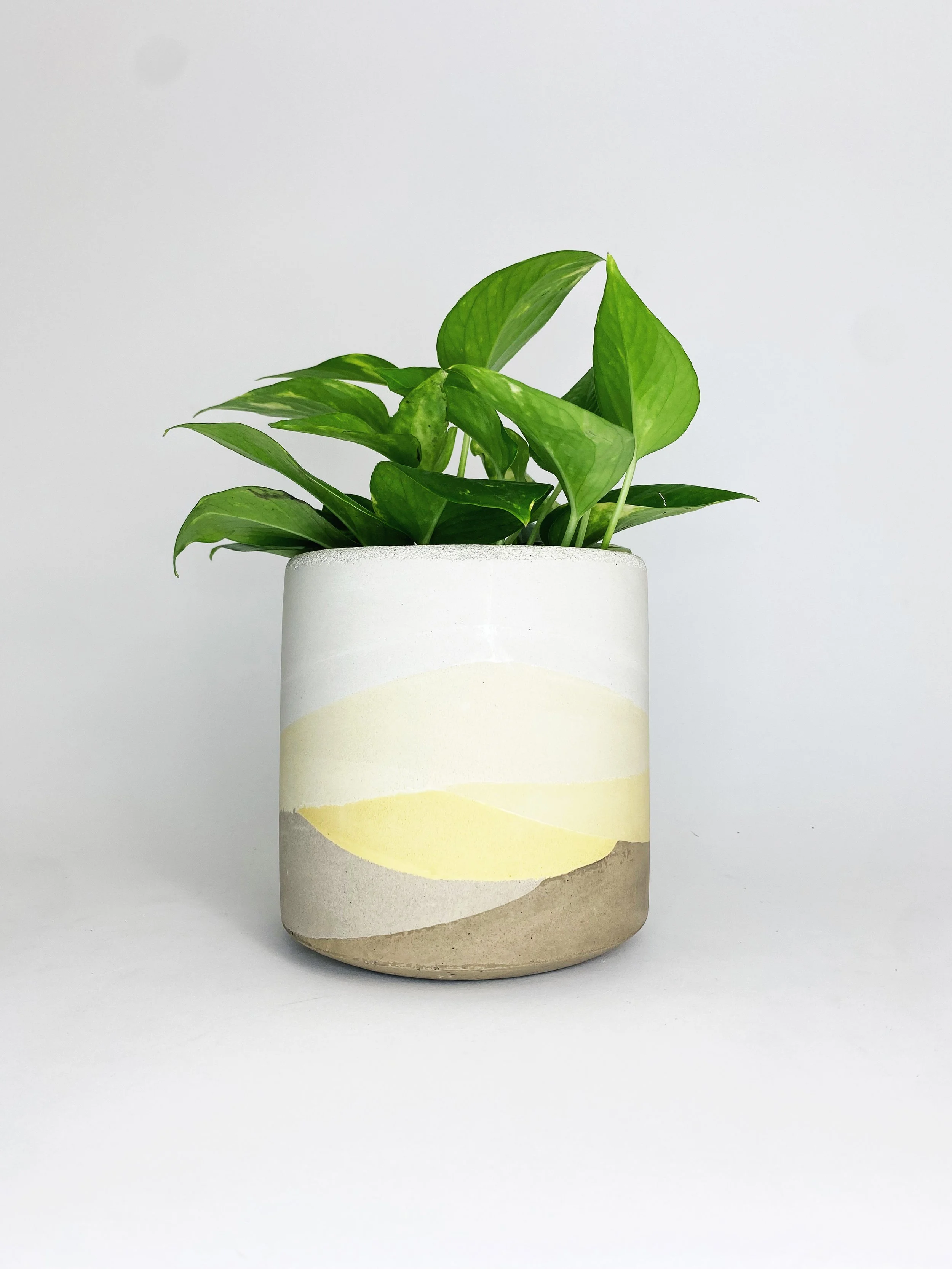 6" Straight Sided Concrete Pot / One Of A Kind #6