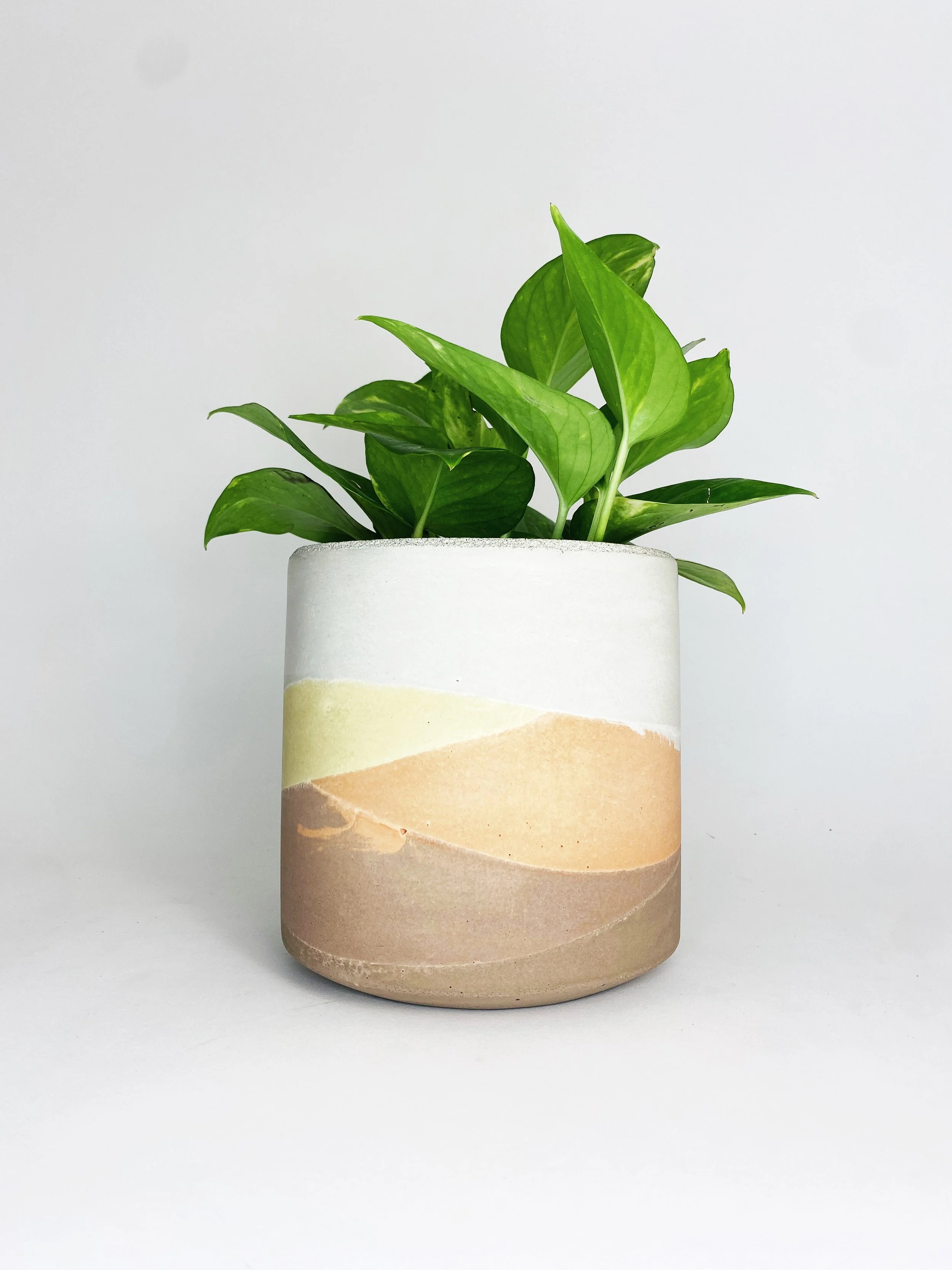 6" Straight Sided Concrete Pot / One Of A Kind #9