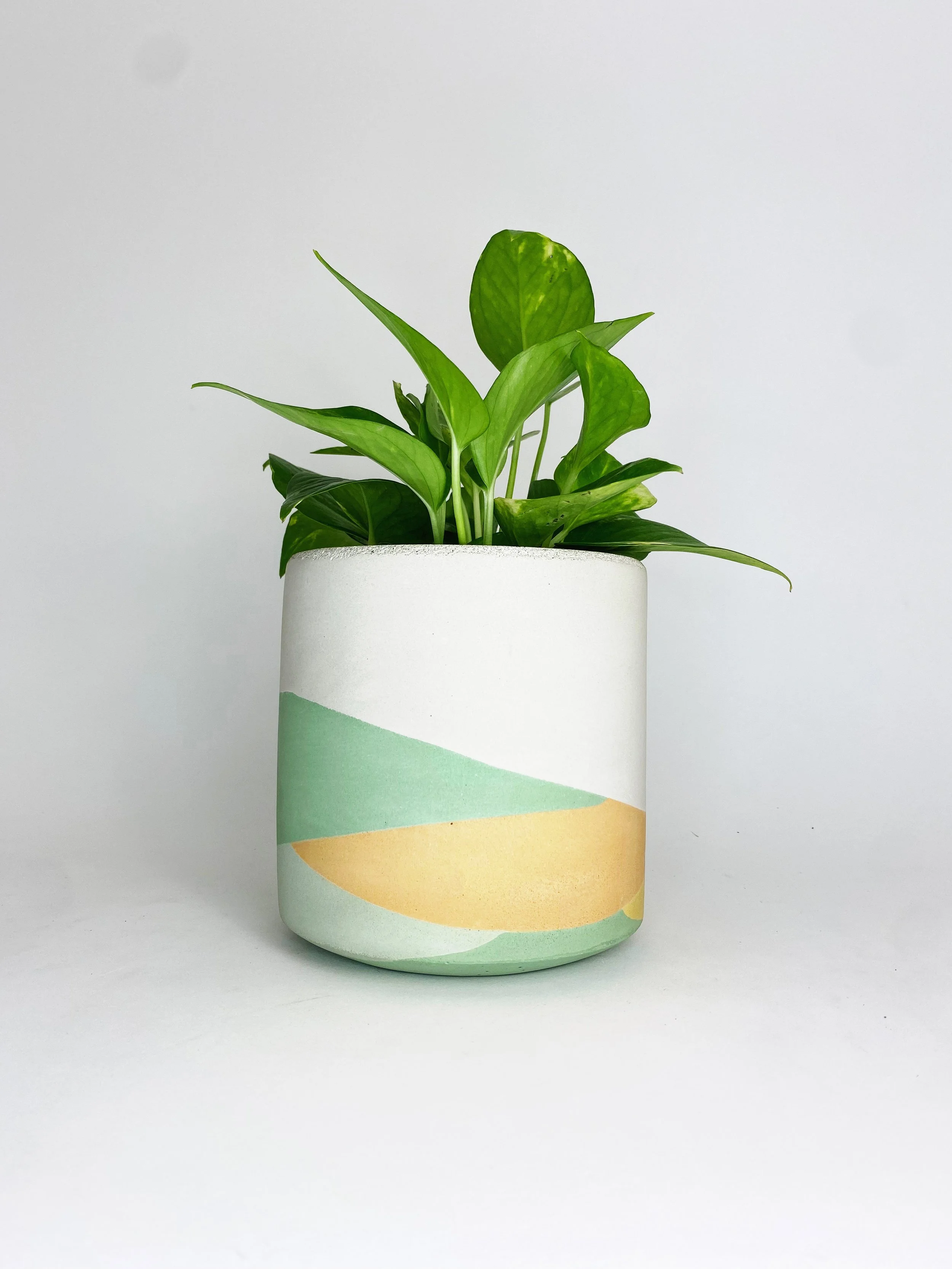6" Straight Sided Concrete Pot / One Of A Kind #10