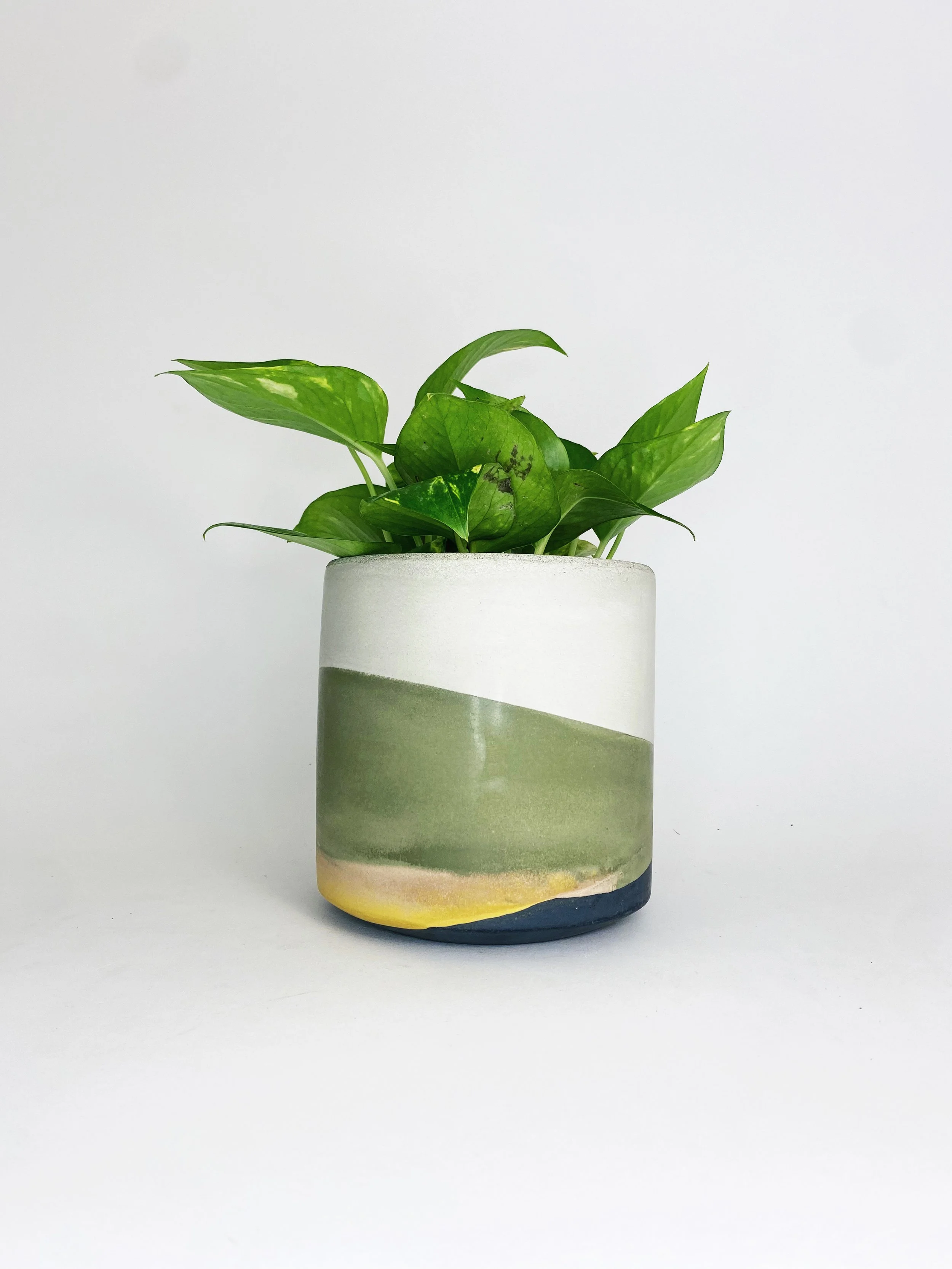 6" Straight Sided Concrete Pot / One Of A Kind #11