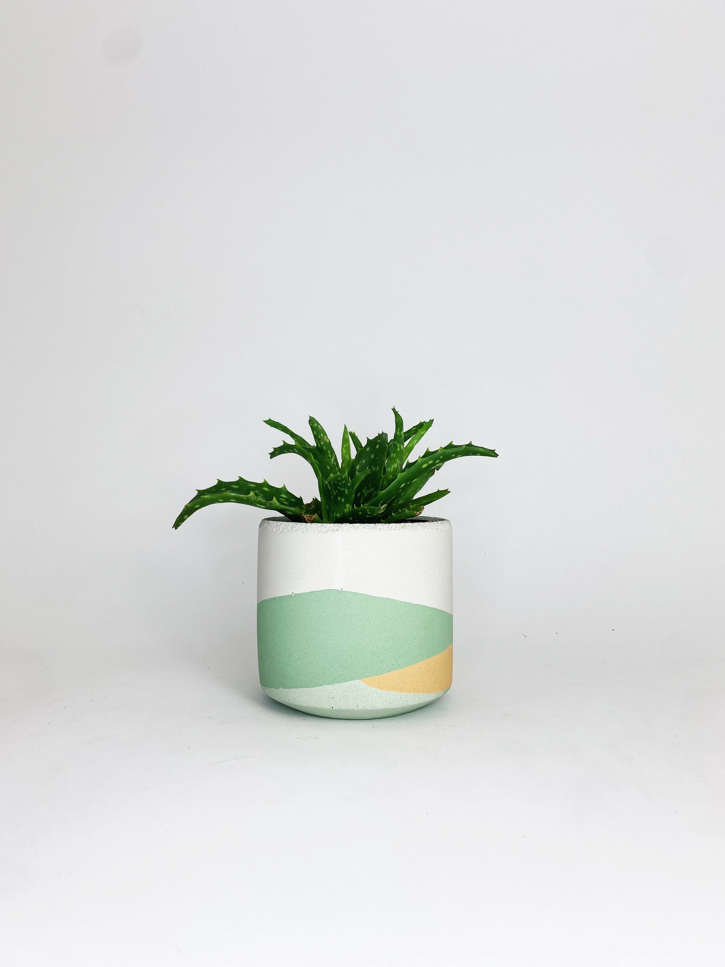 4" Straight Sided Concrete Pot / One Of A Kind #2