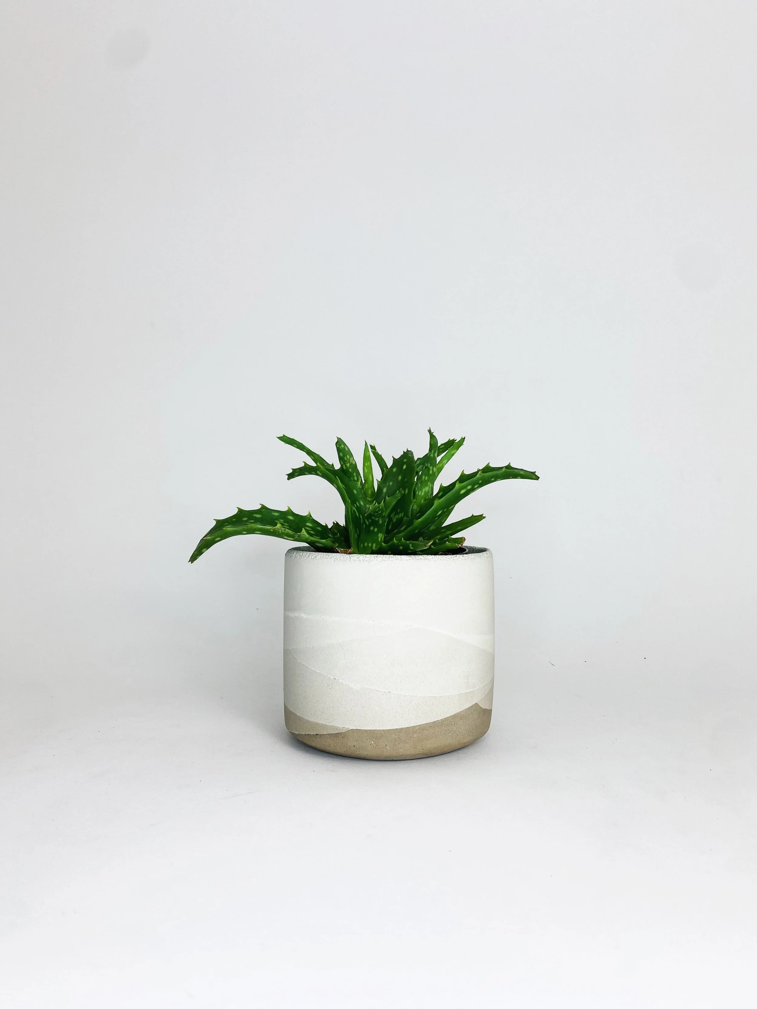 4" Straight Sided Concrete Pot / One Of A Kind #15