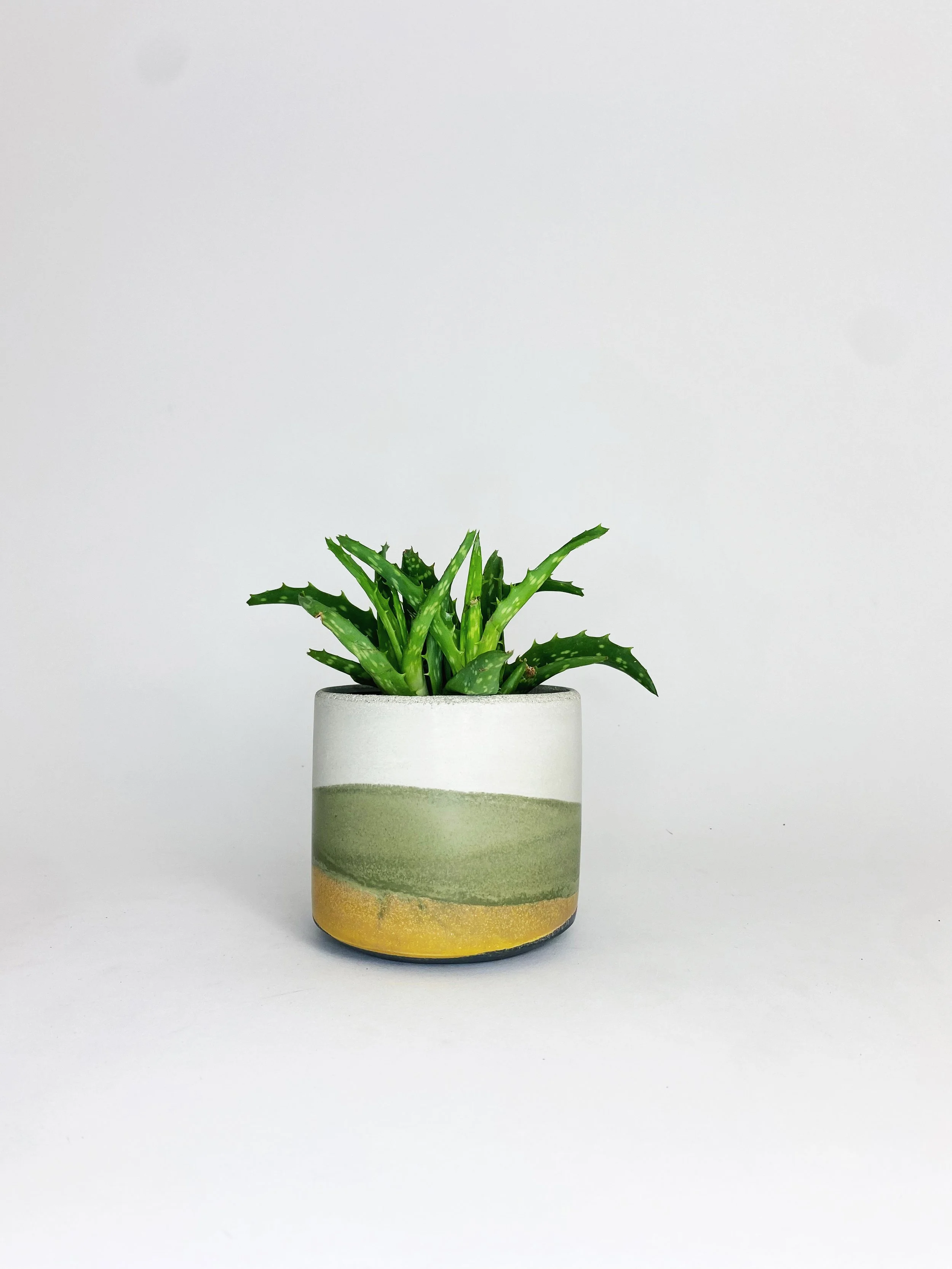 4 ST OOAK 21c.JPG