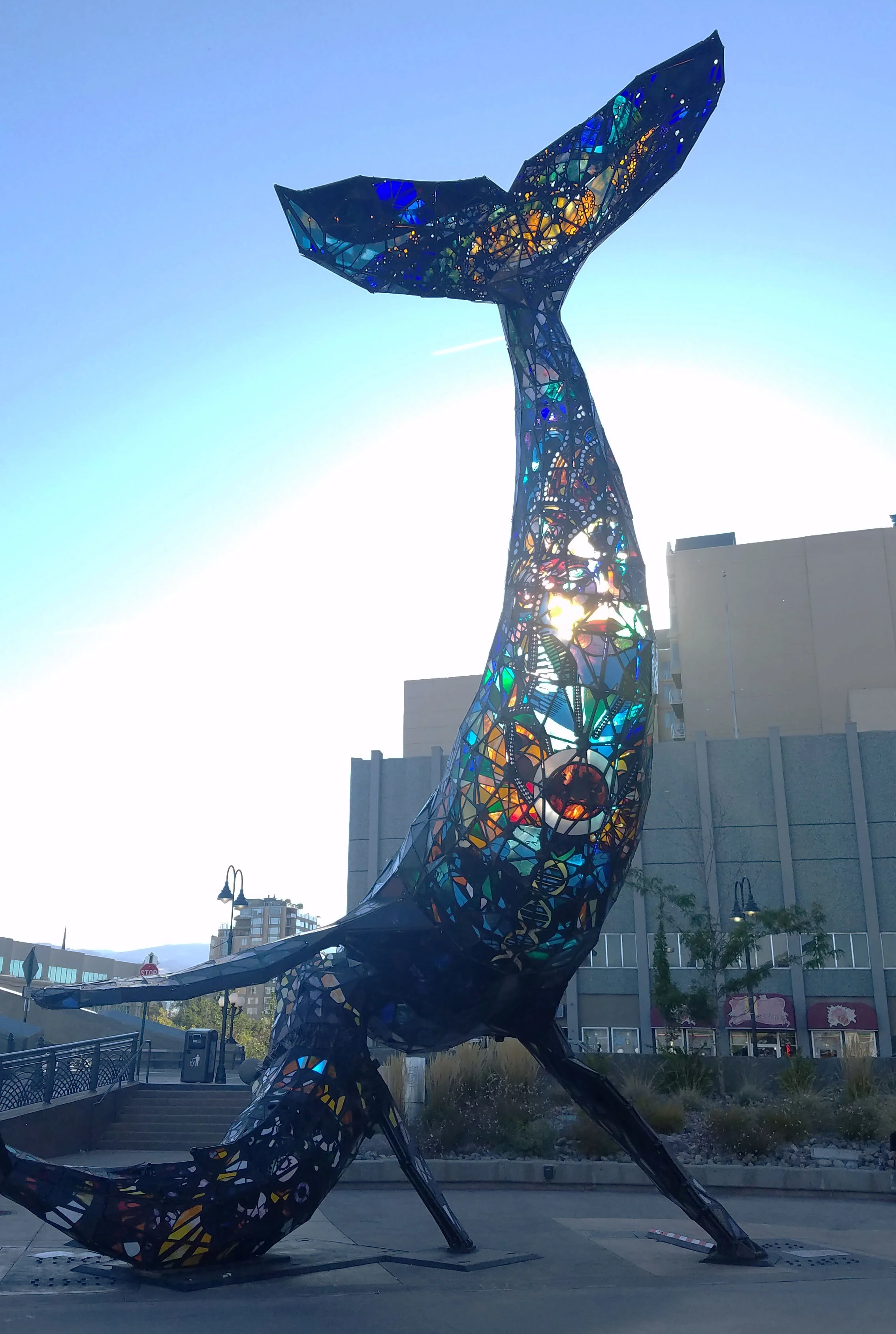 20170927_164933large.jpg