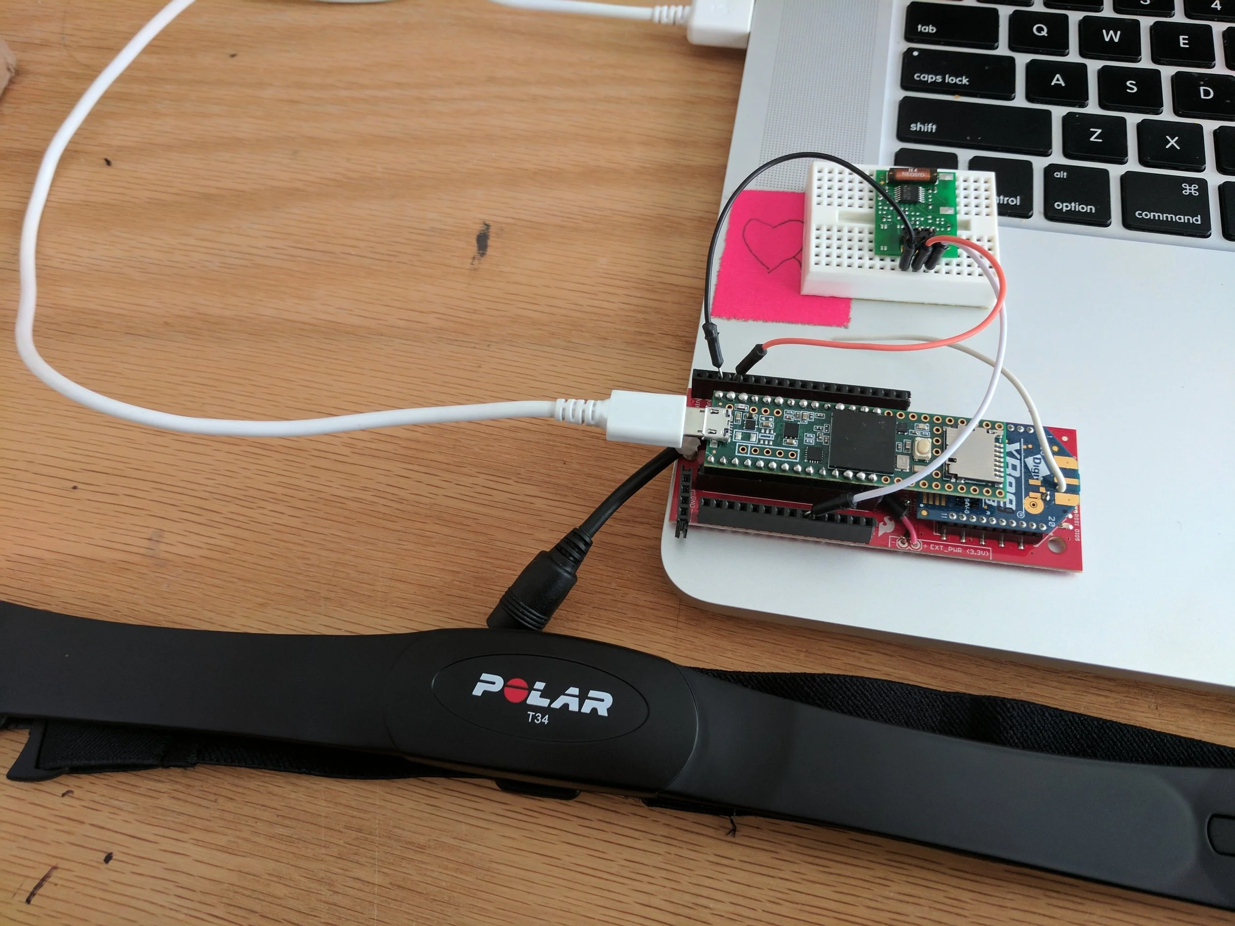 Polar HR chest strap sensor