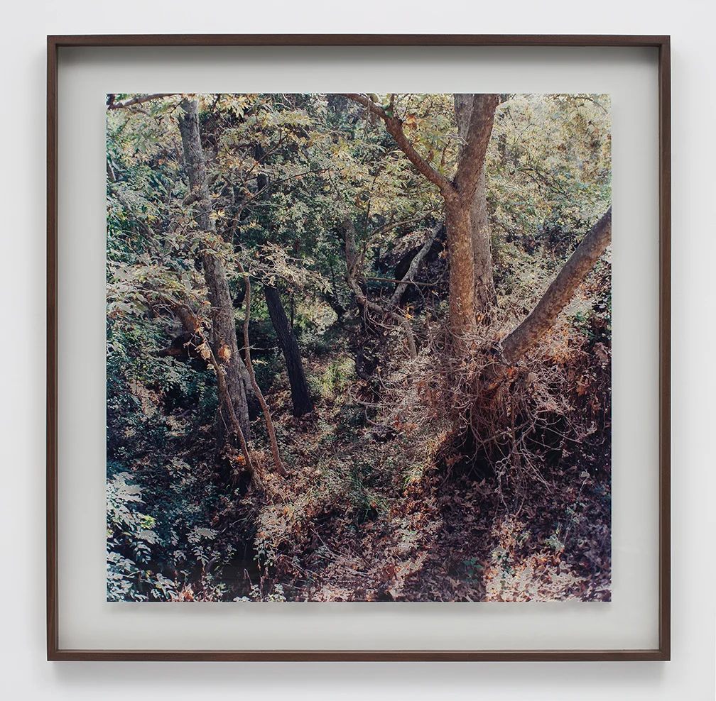 (The woman bows, smiles, and leaves)_sml.jpg