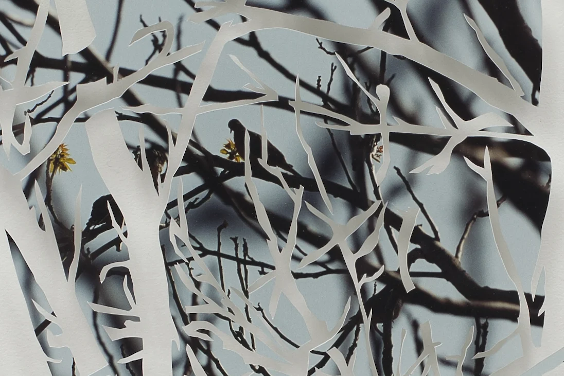 (Suddenly, he seems to make up his mind) , 2011 (detail)