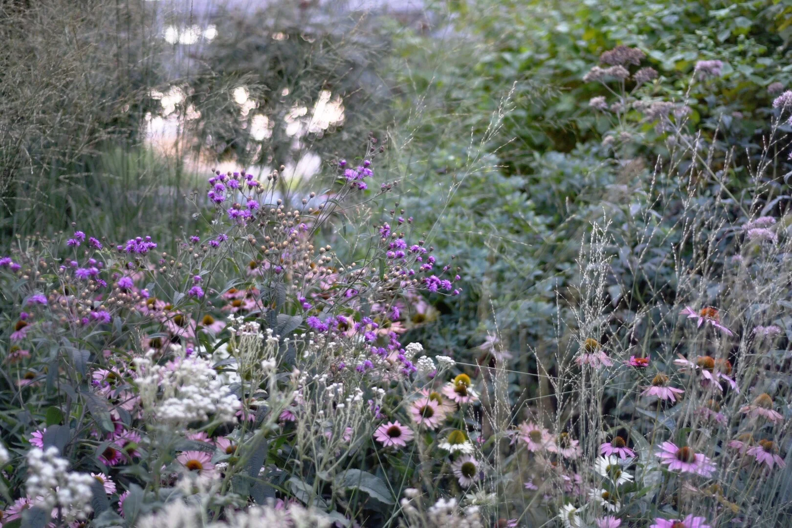 the high line. new york, NY. 2016