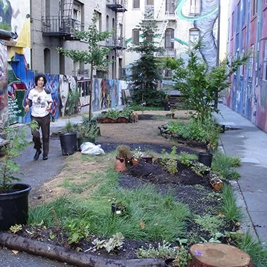 Trees in the Tenderloin Walking Tour with Shaping SF