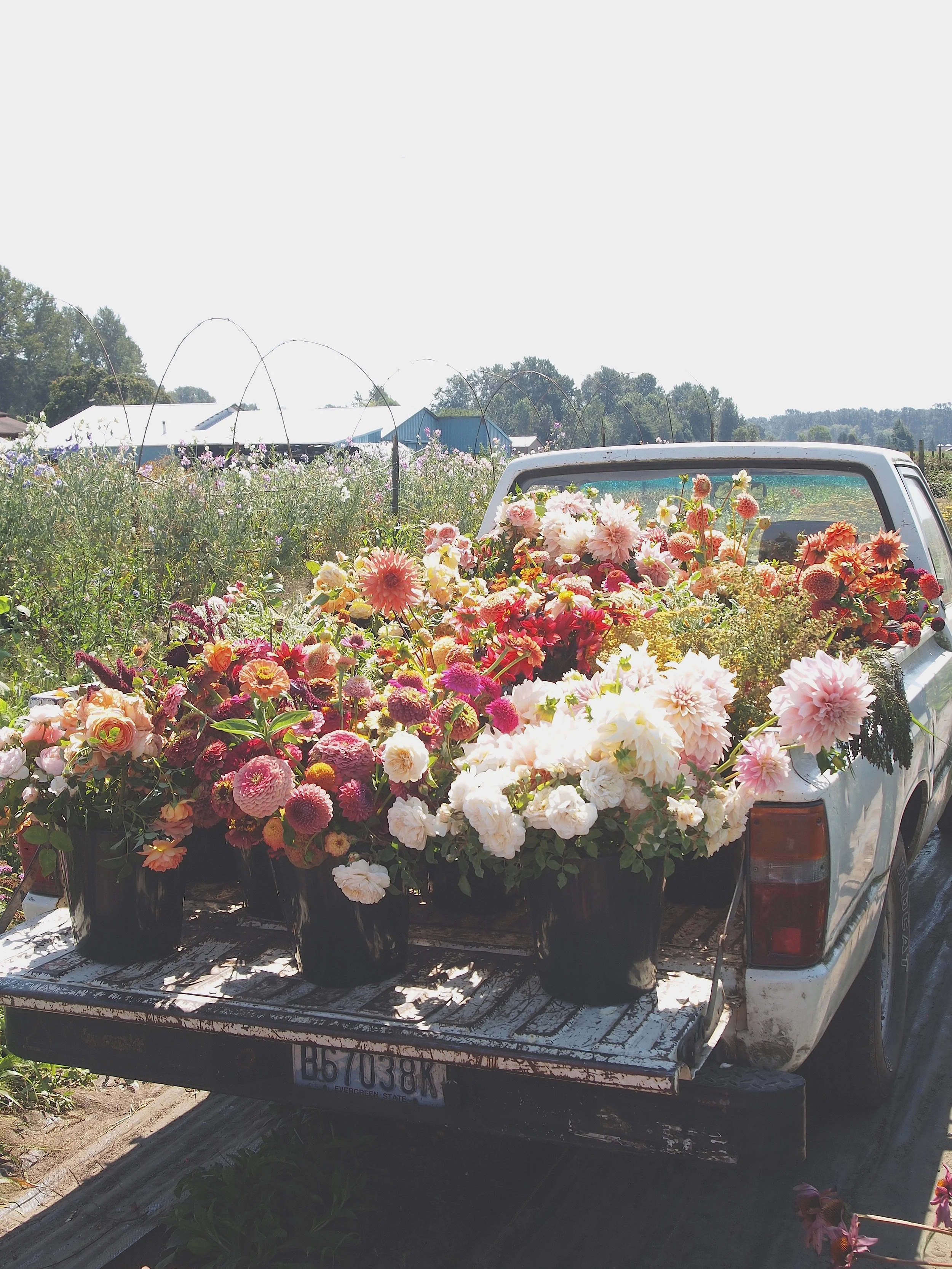 The iconic Floret Farm Truck. 