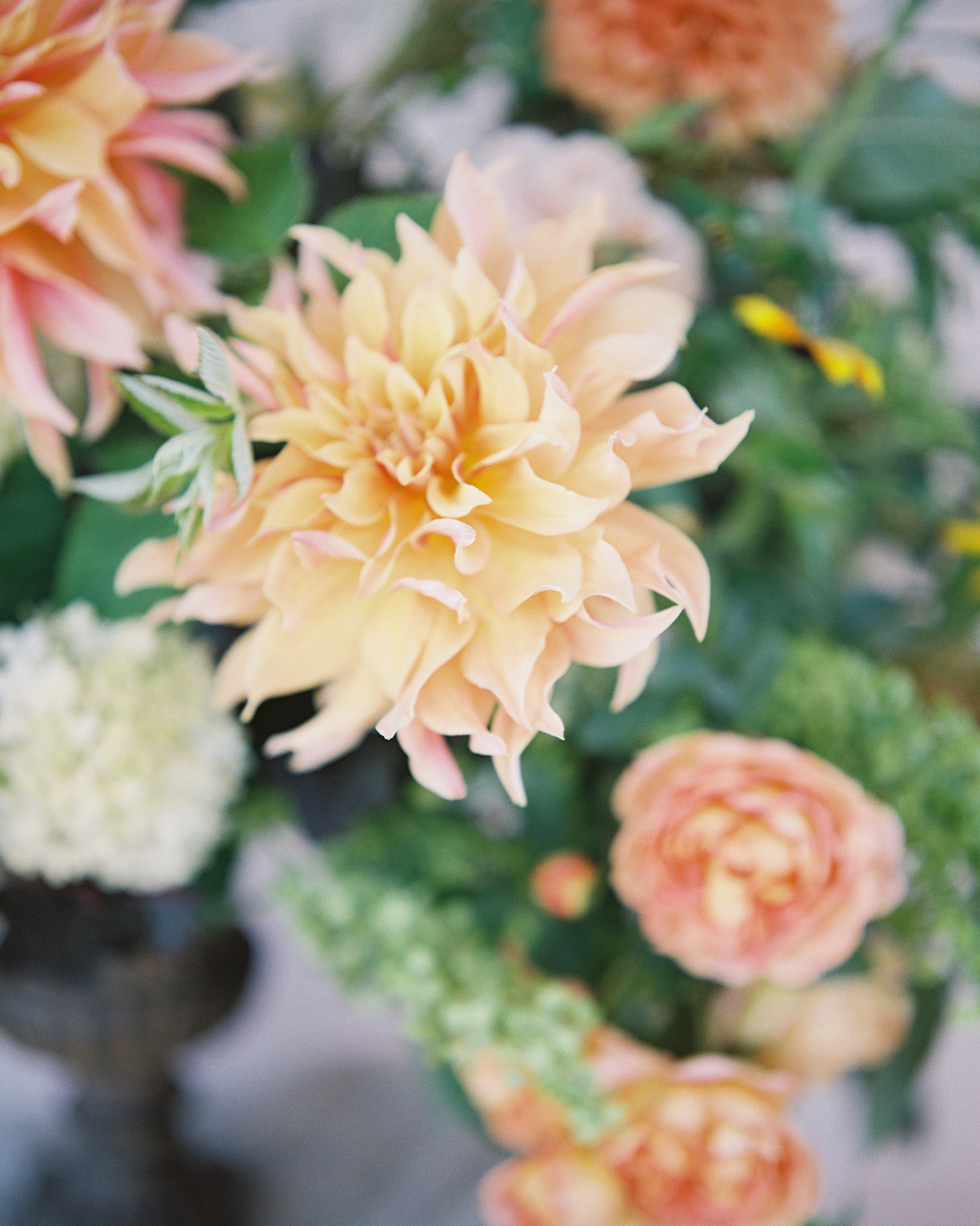 Fern & Frond Floral Studio Kamloops Wedding Florist — Flower Shop