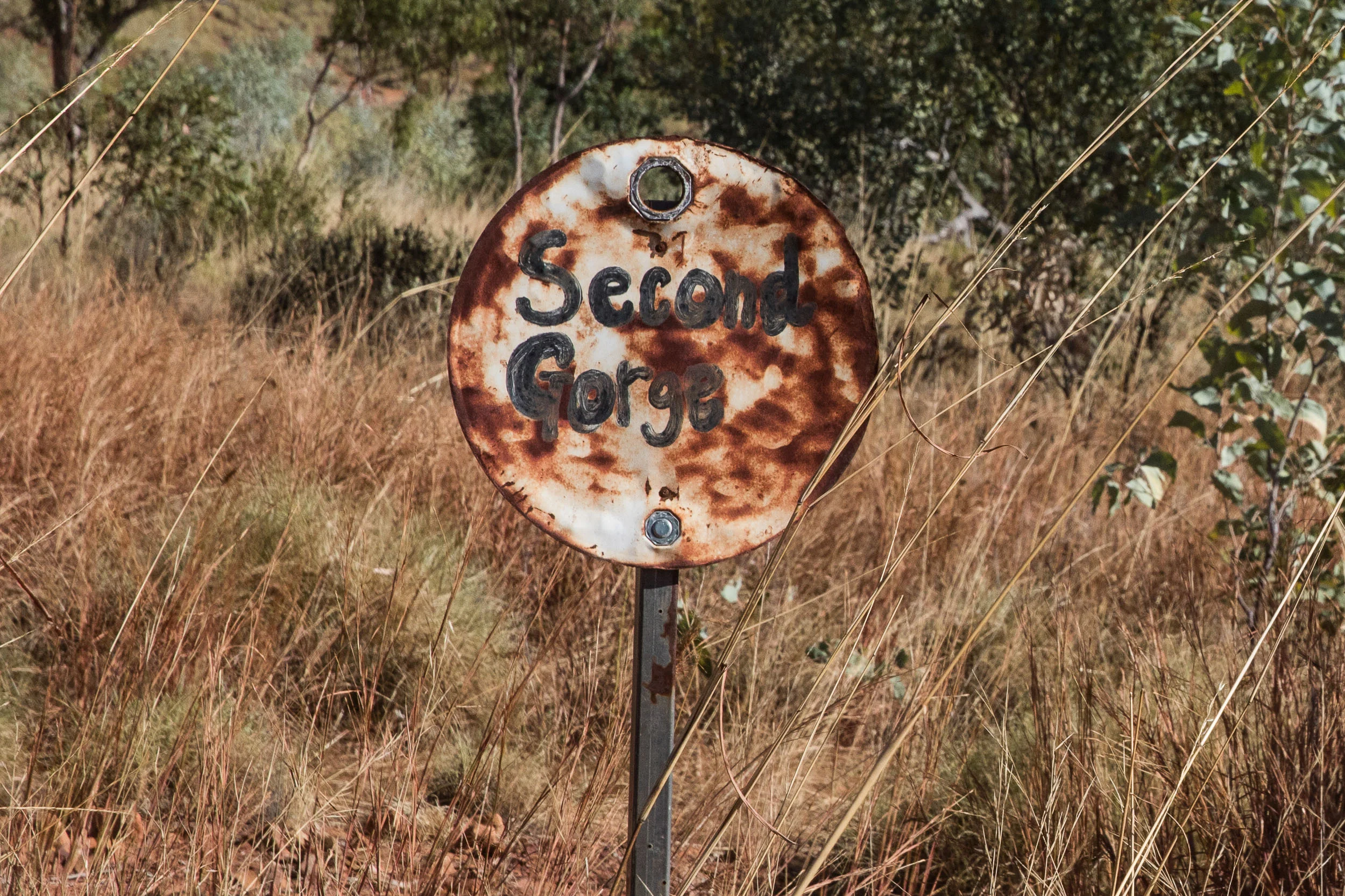 Luridgii New-43.jpg