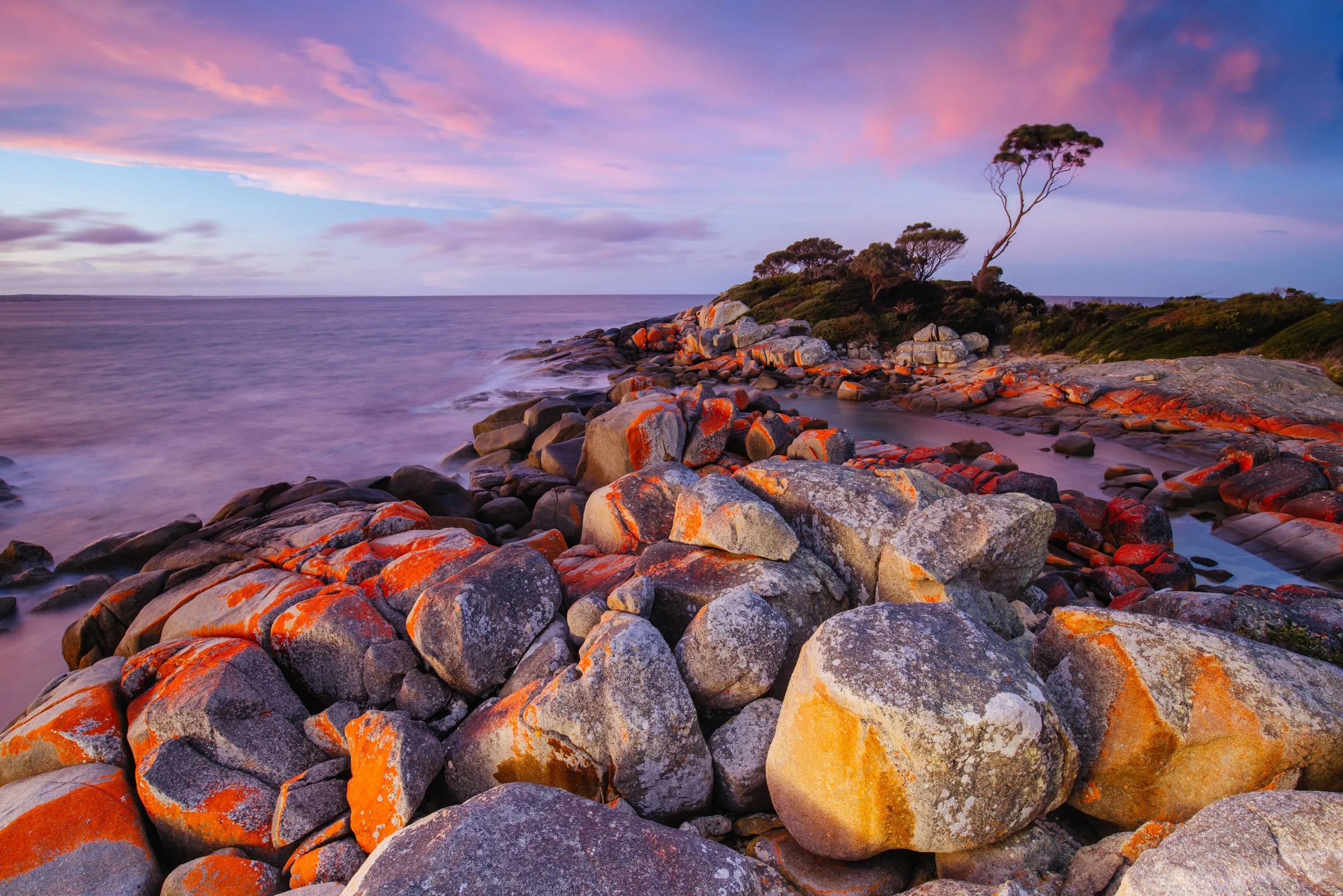 AdobeStock_533961730.jpg