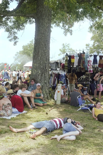 Bonnaroo2010_02_BradleySpitzer.jpg
