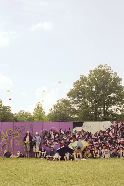 Bonnaroo2010_08_BradleySpitzer.jpg