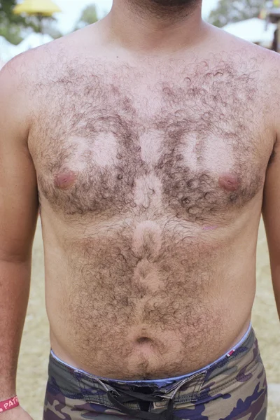 Bonnaroo2010_13_BradleySpitzer.jpg