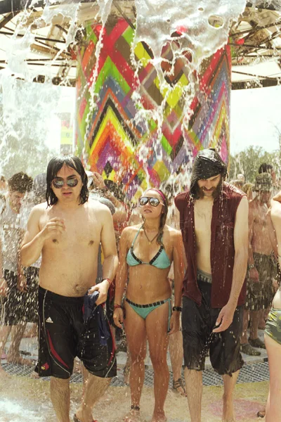 Bonnaroo2010_15_BradleySpitzer.jpg