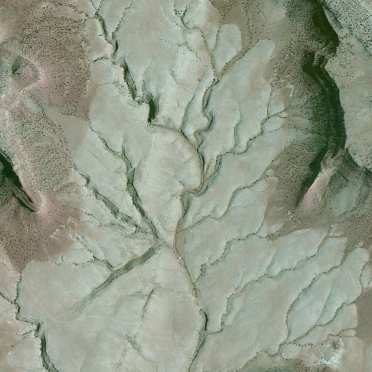 ARIZONA