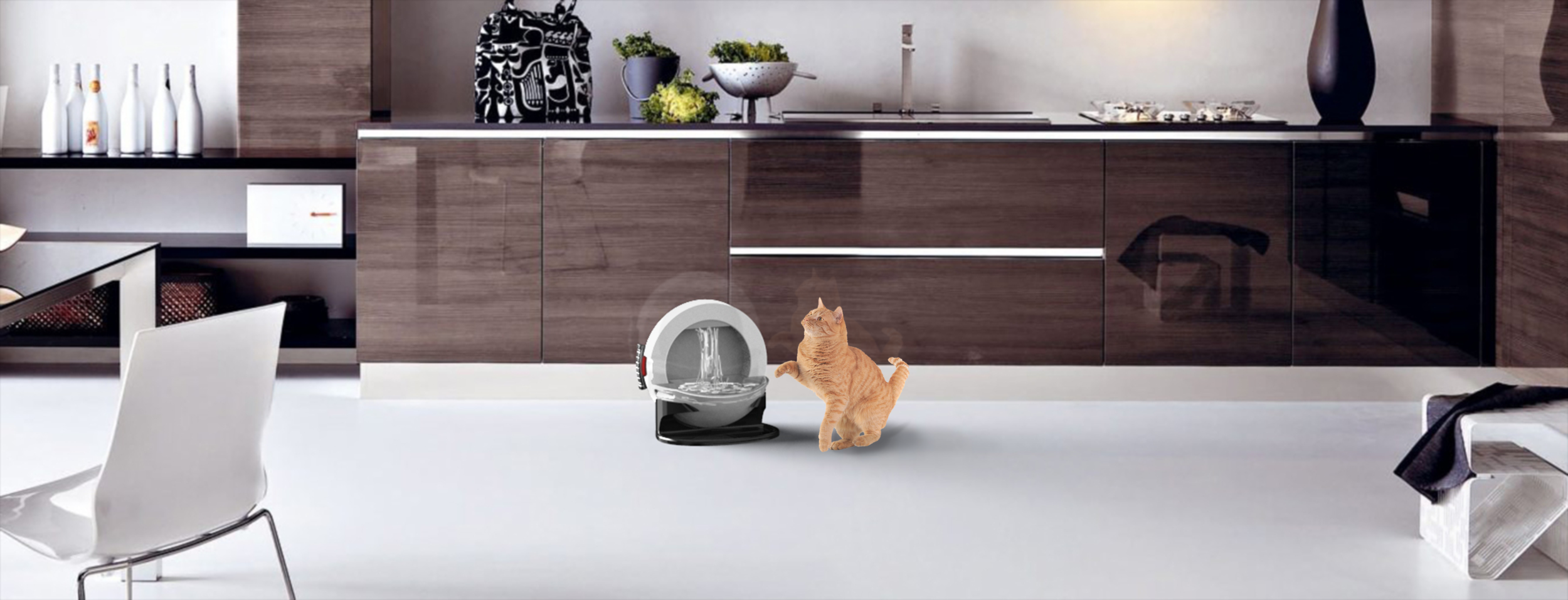 CatFOuntain.Kitchen Render Scene.png