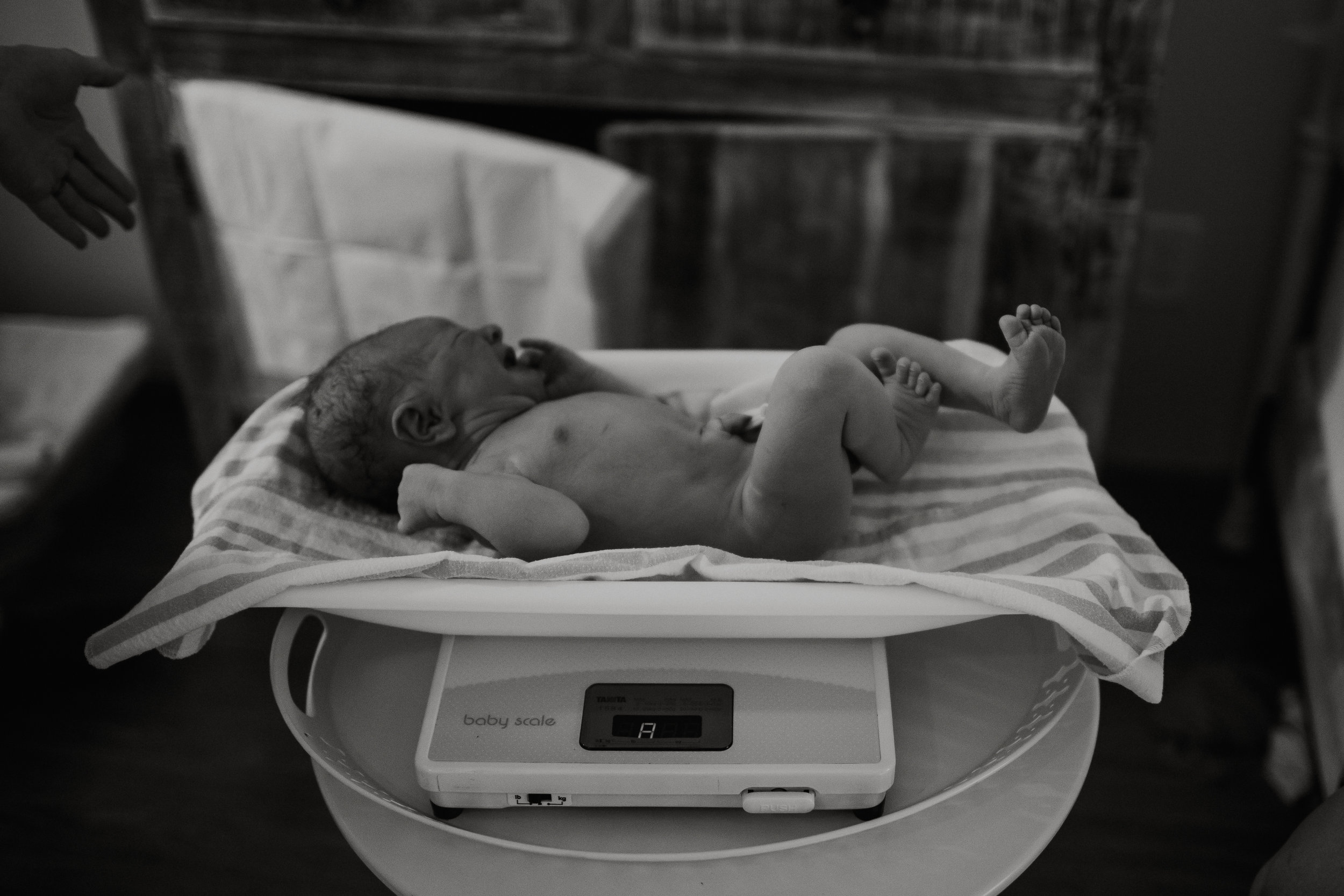 tacoma-maternity-the-birthing-inn50.jpg