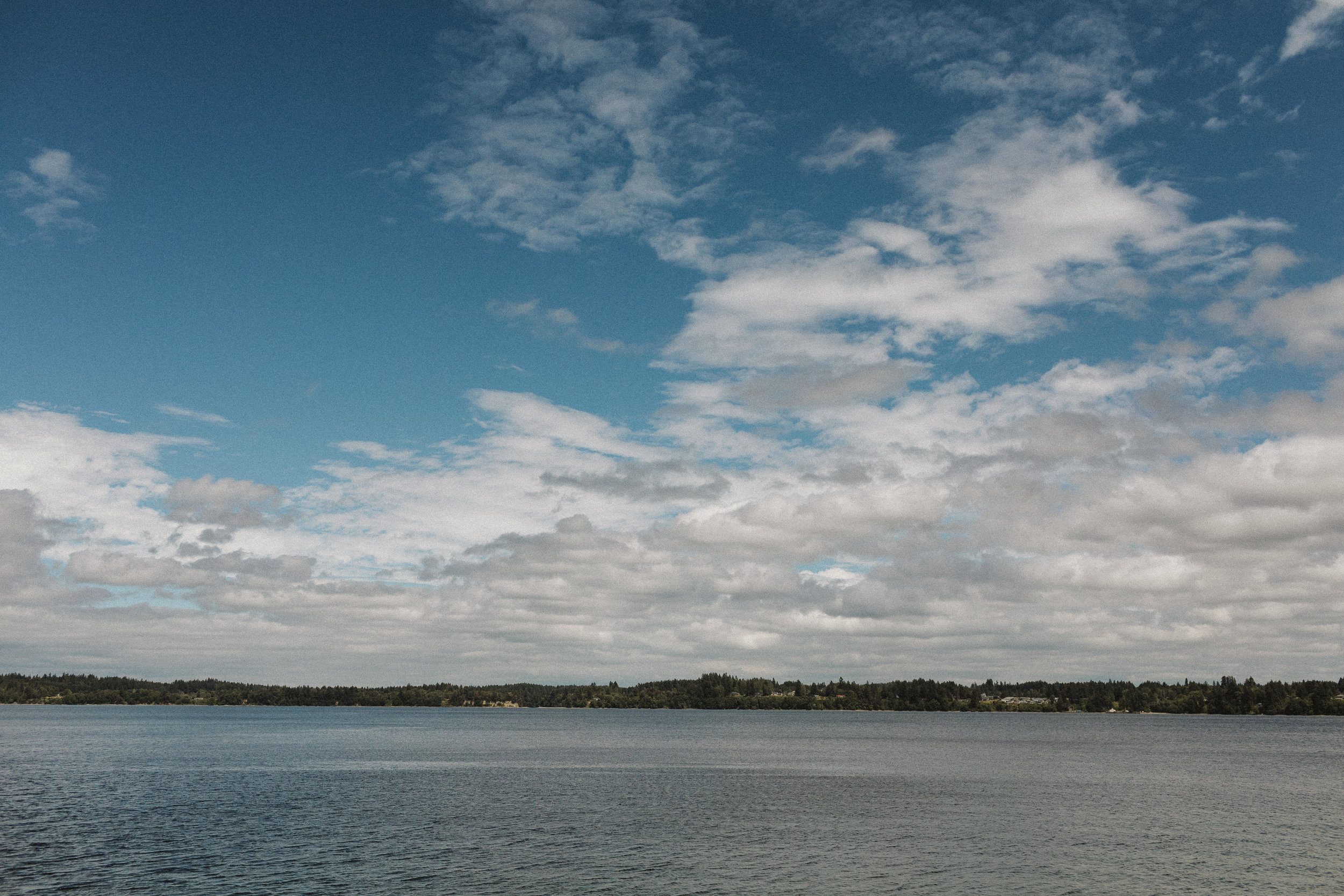 Budd Inlet Olympia wedding28.jpg