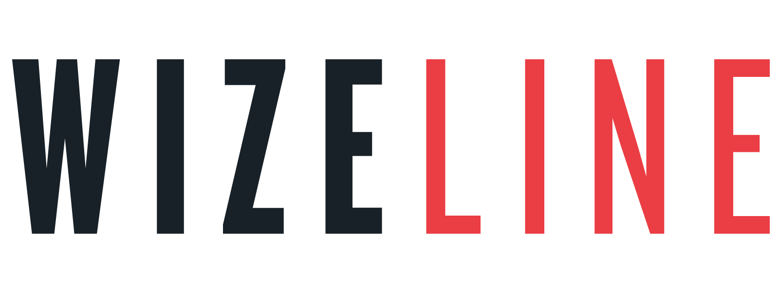 Wizeline Logo (1).png