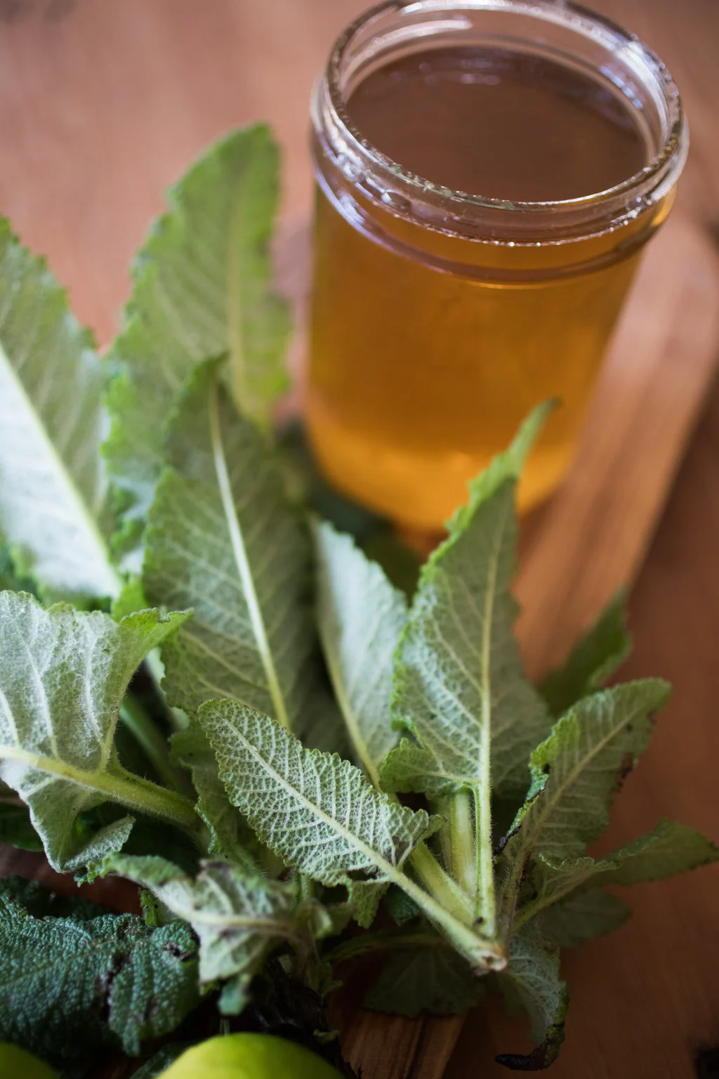 SHRUB AND COCKTAIL CLASS WITH JARDESCA CALIFORNIA APERTIVA