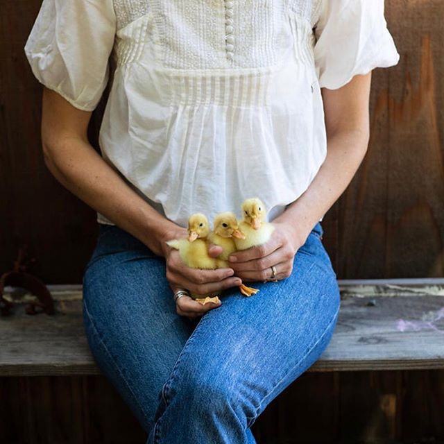 See @thechalkboardmag and Lauren&rsquo;s interview about balancing caring for her animals, work and family on link in profile. 📷 @brittanyesmith
.
.
.
.
.
.
.
.
#chalkboardmag #animals #farmlife #balancing #womensheritage